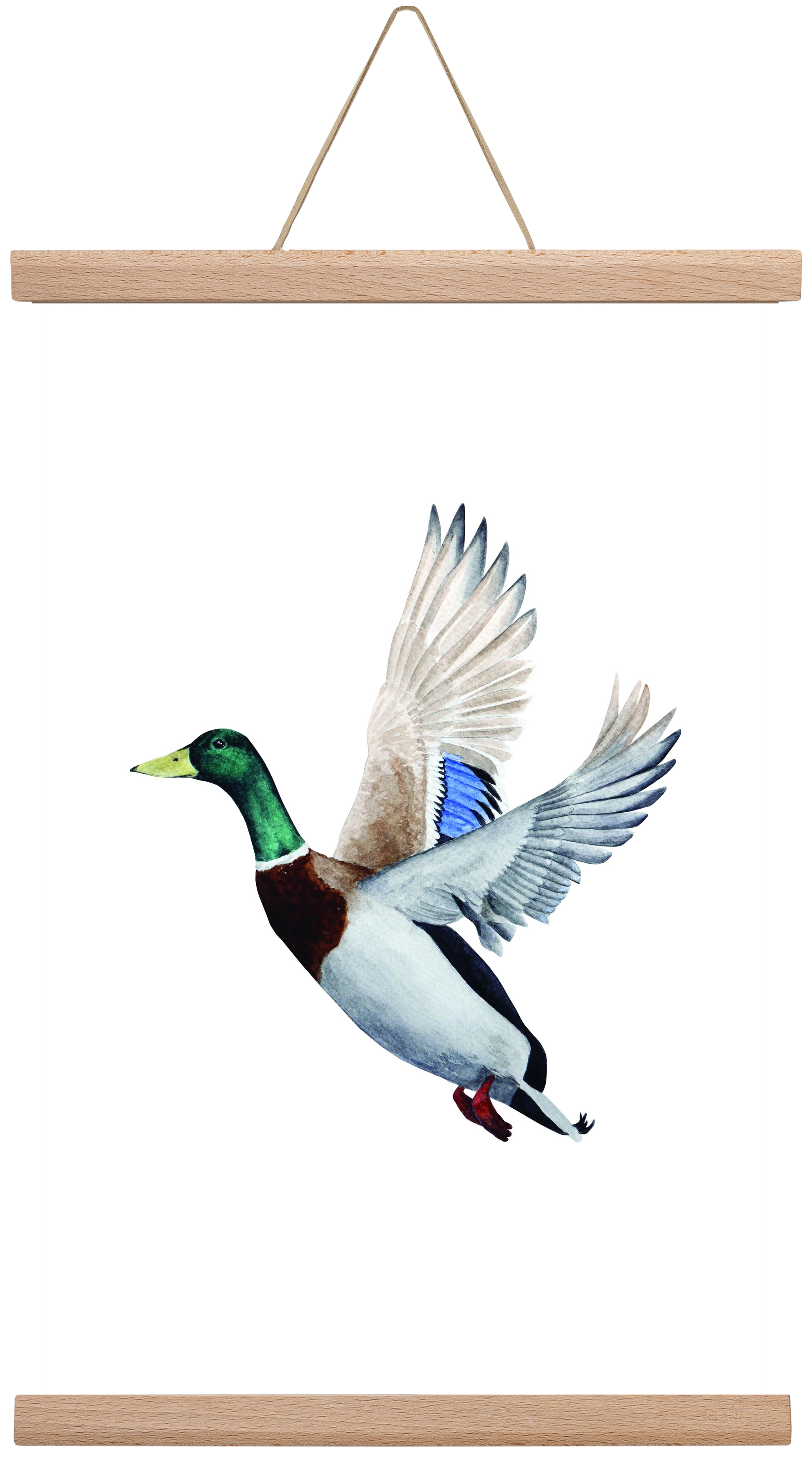 duck, 30x45 cm (30x45 cm), Tölgy akasztó