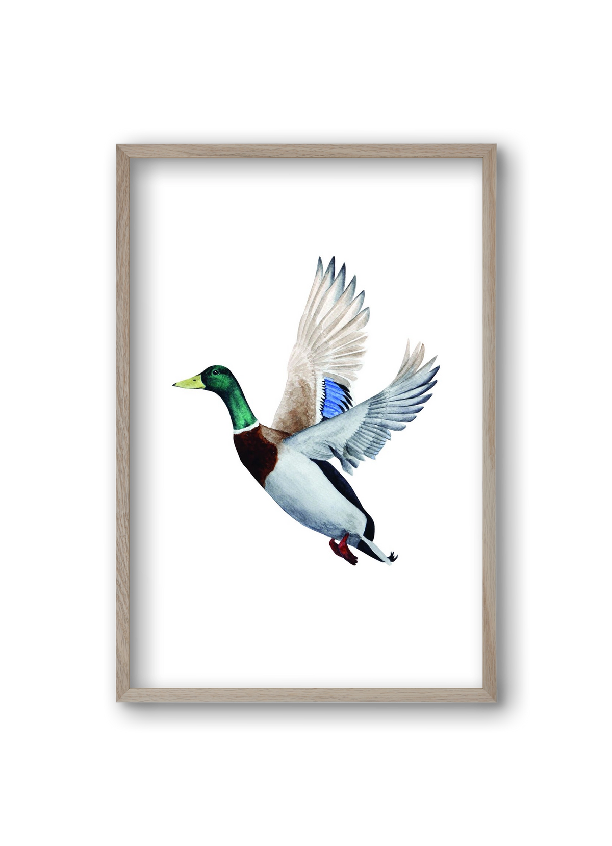 duck, 20x30 cm (20x30 cm), Tölgy keret