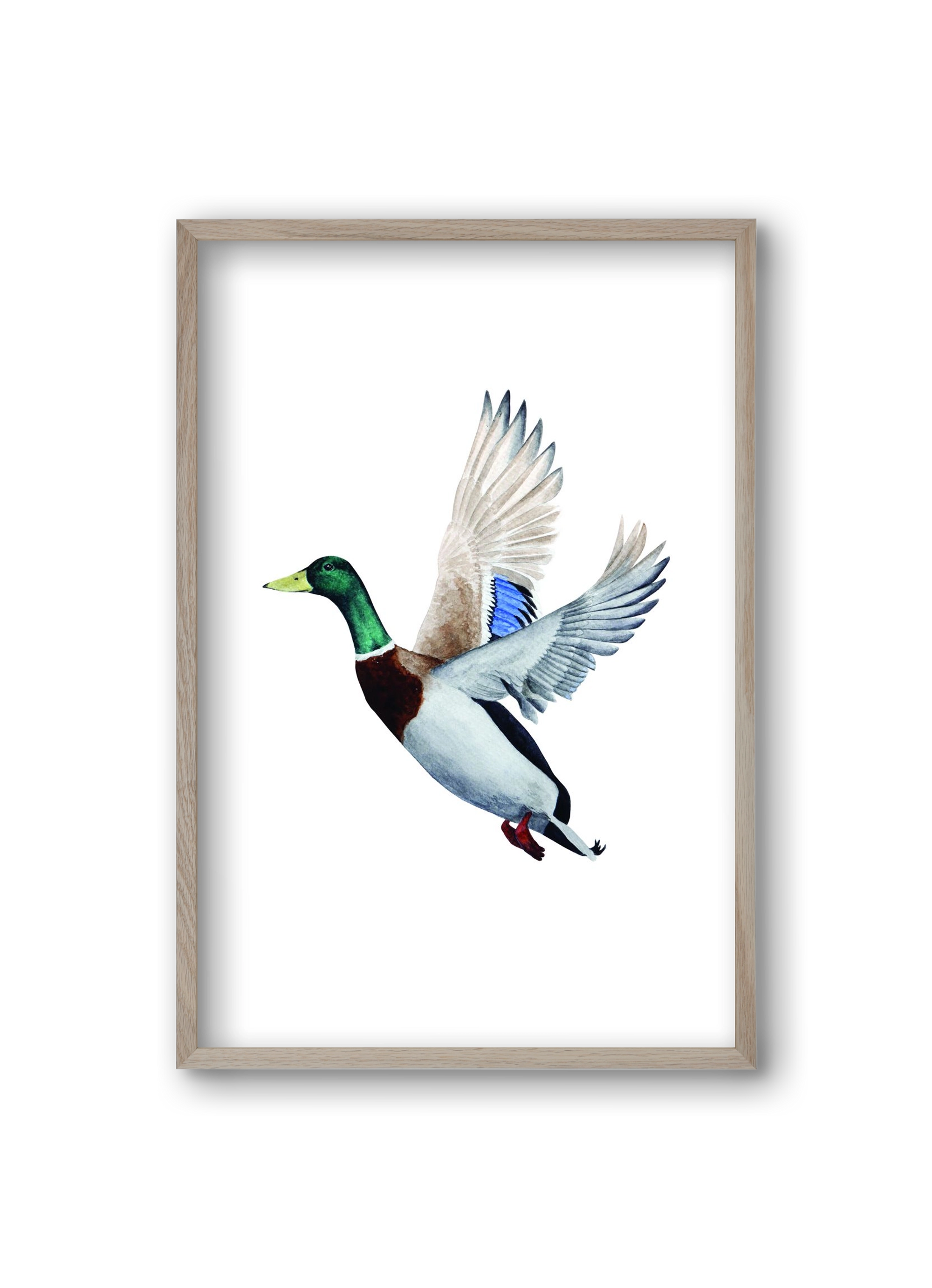 duck, 20x30 cm (20x30 cm), Tölgy keret