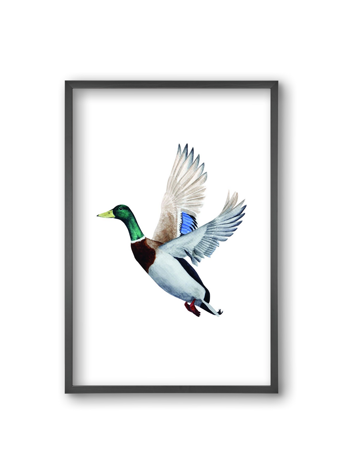 duck, 20x30 cm (20x30 cm), Fekete keret