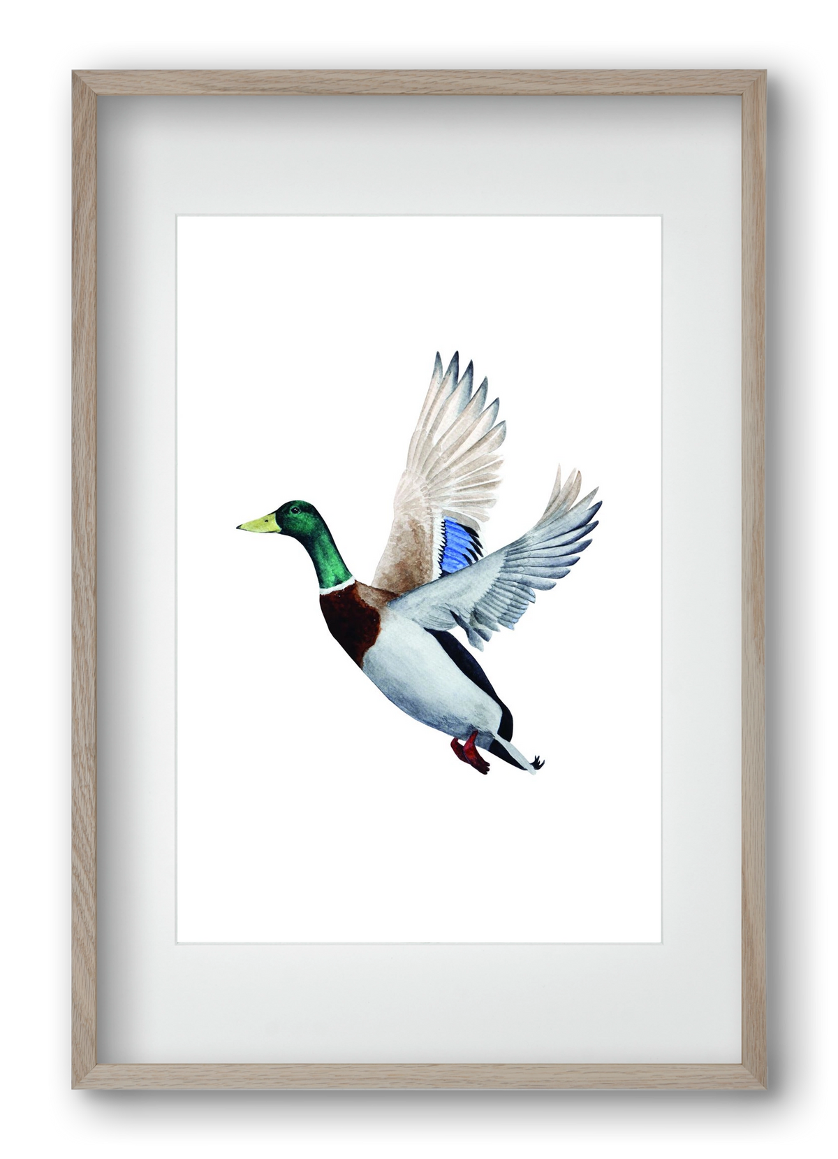 duck, 40x60 cm (30x45 cm), Tölgy keret, paszpartuval