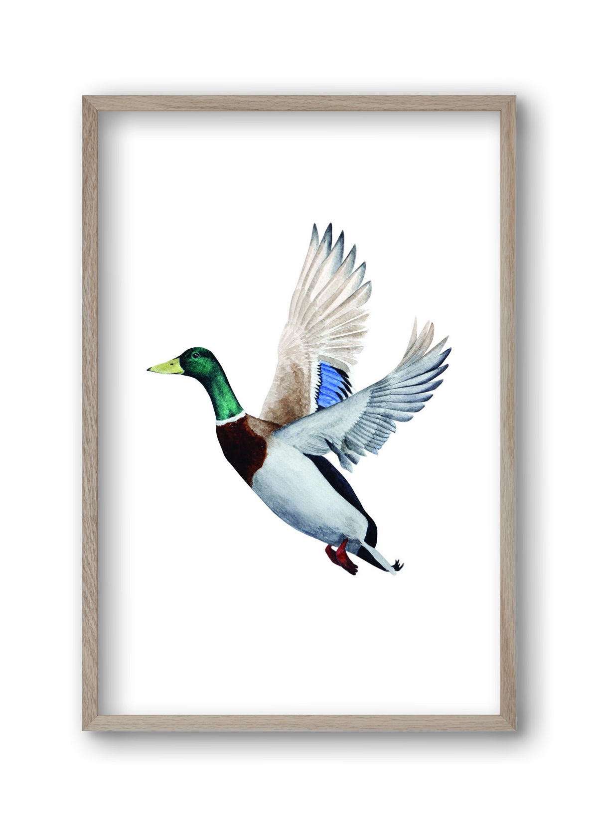 duck, 30x45 cm (30x45 cm), Tölgy keret