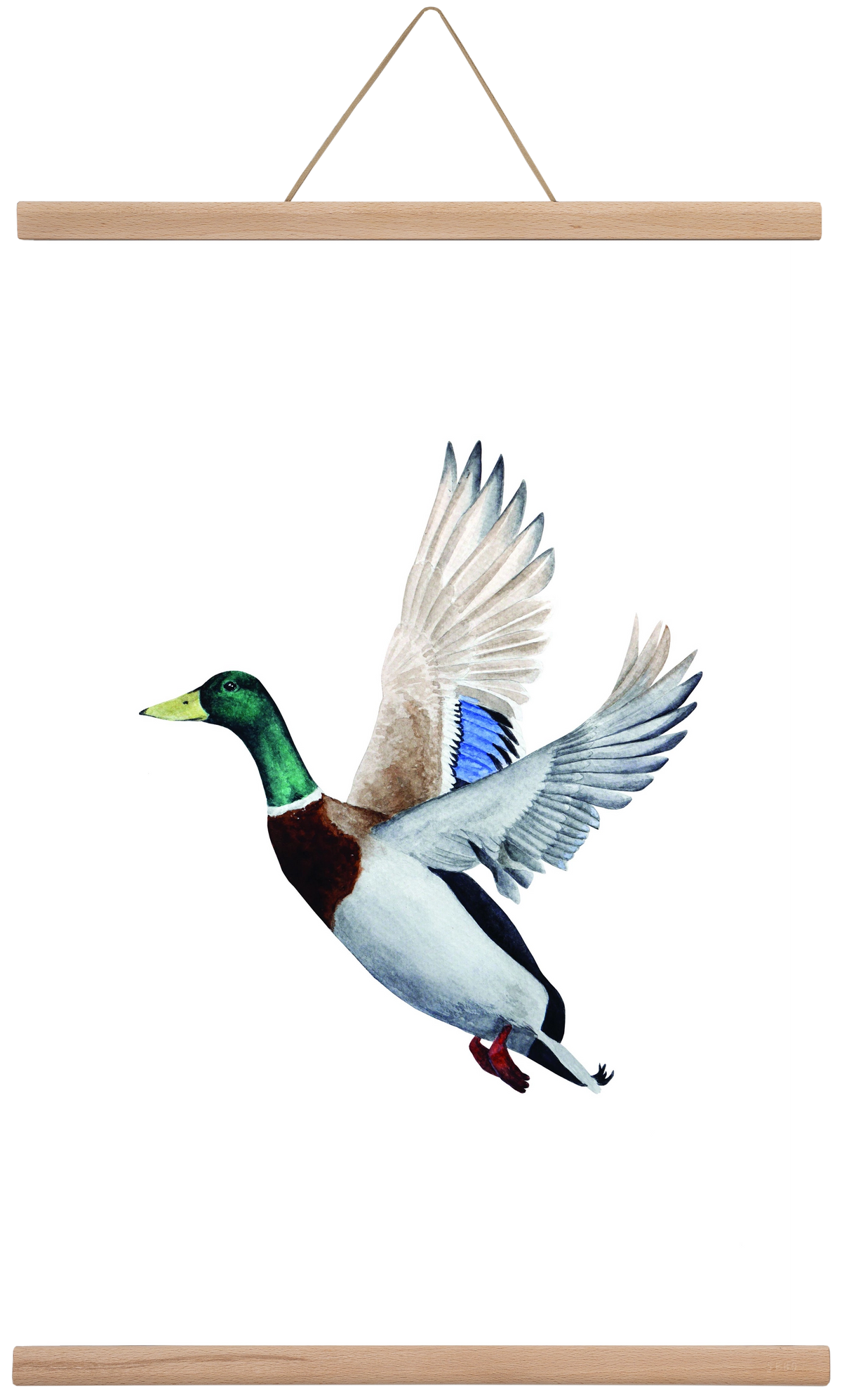 duck, 40x60 cm (40x60 cm), Tölgy akasztó