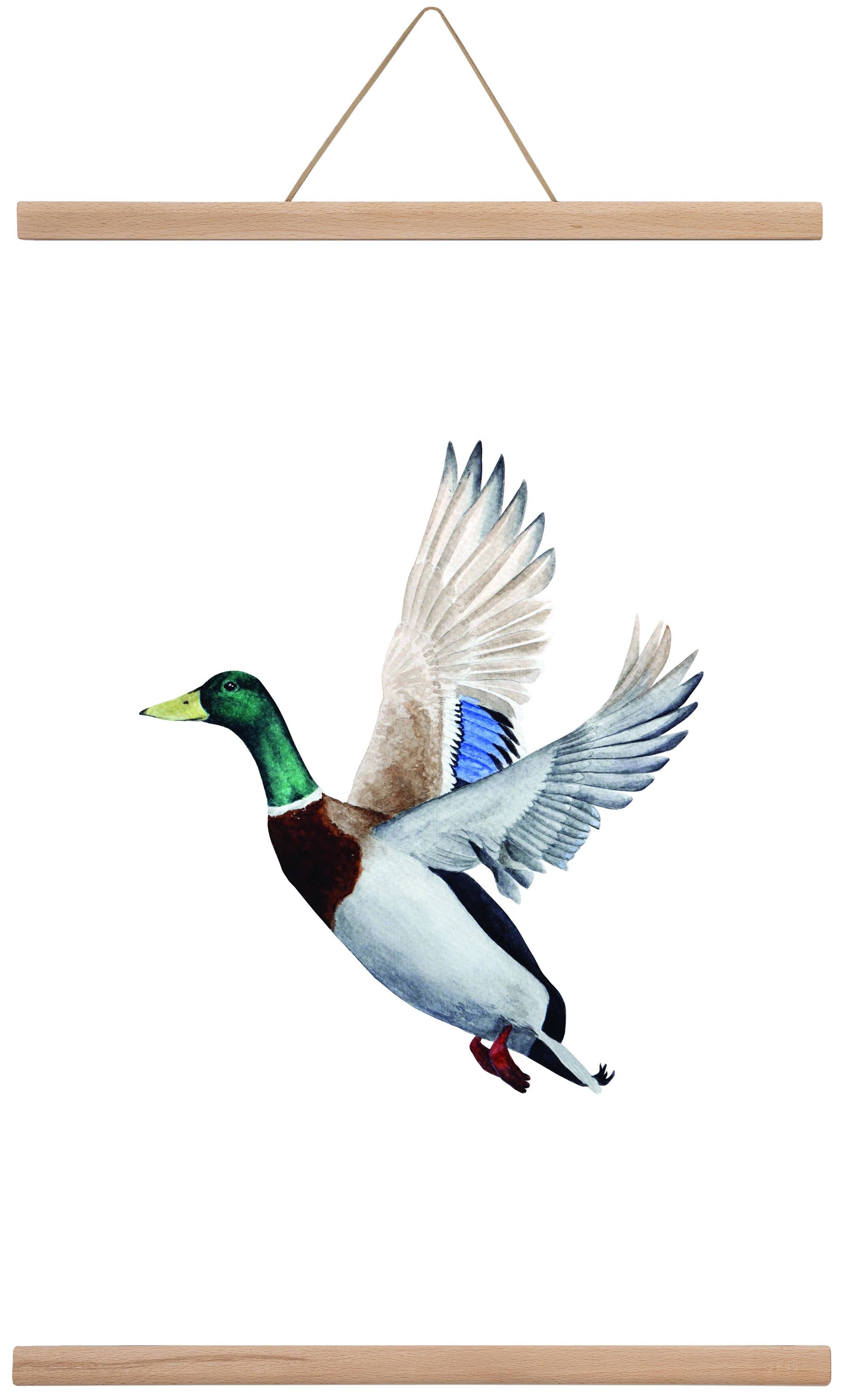 duck, 40x60 cm (40x60 cm), Tölgy akasztó