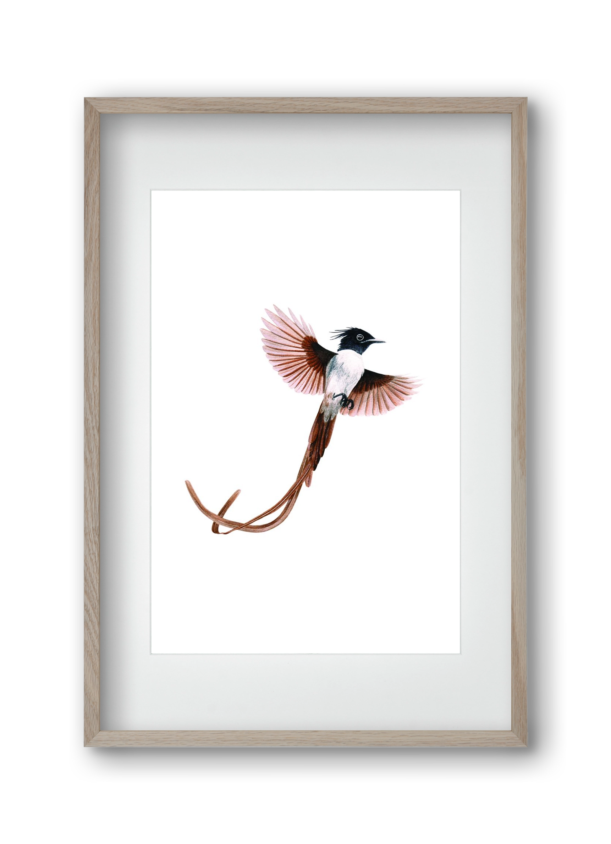 flycatcher, 30x45 cm (20x30 cm), Tölgy keret, paszpartuval