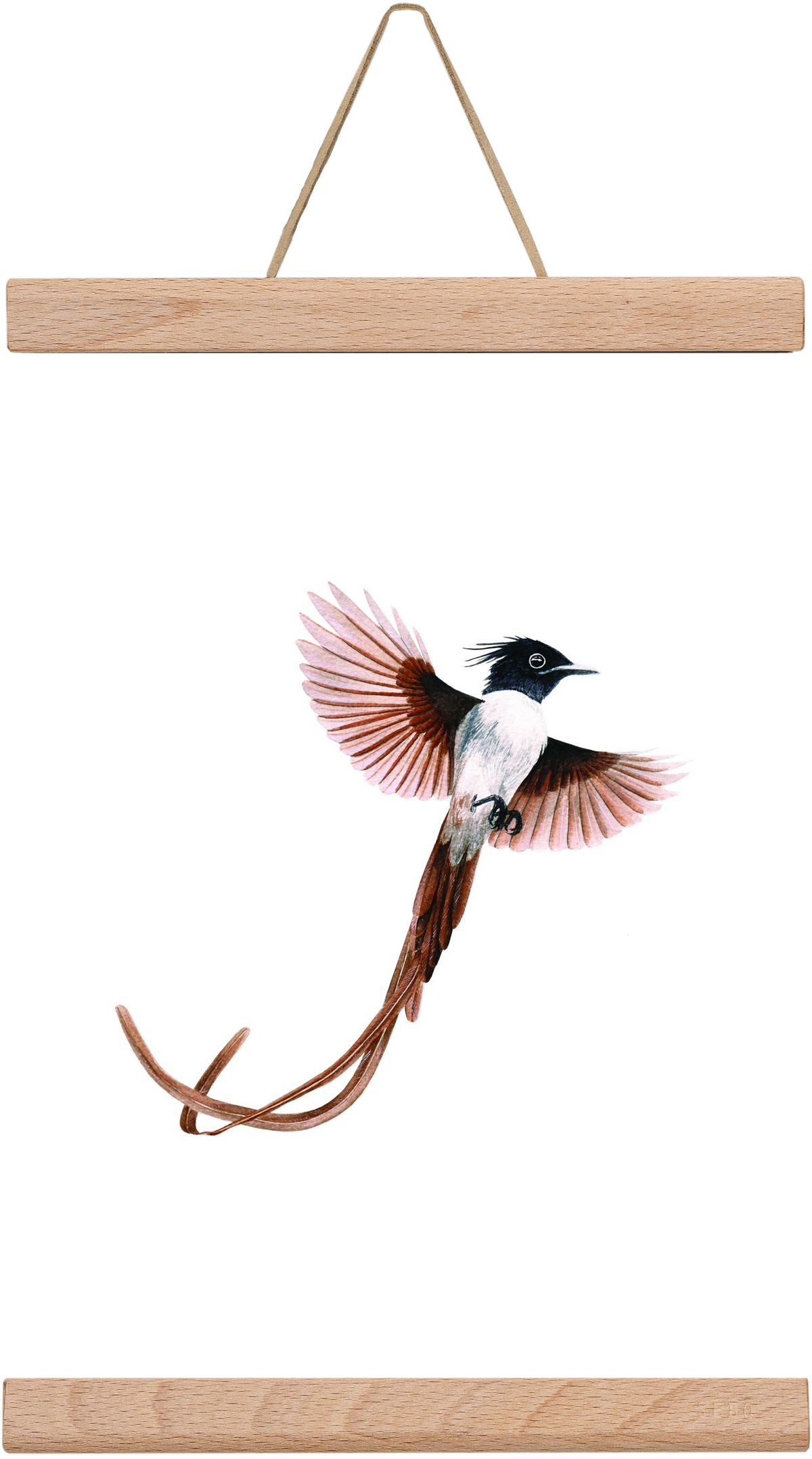 flycatcher, 20x30 cm (20x30 cm), Tölgy akasztó