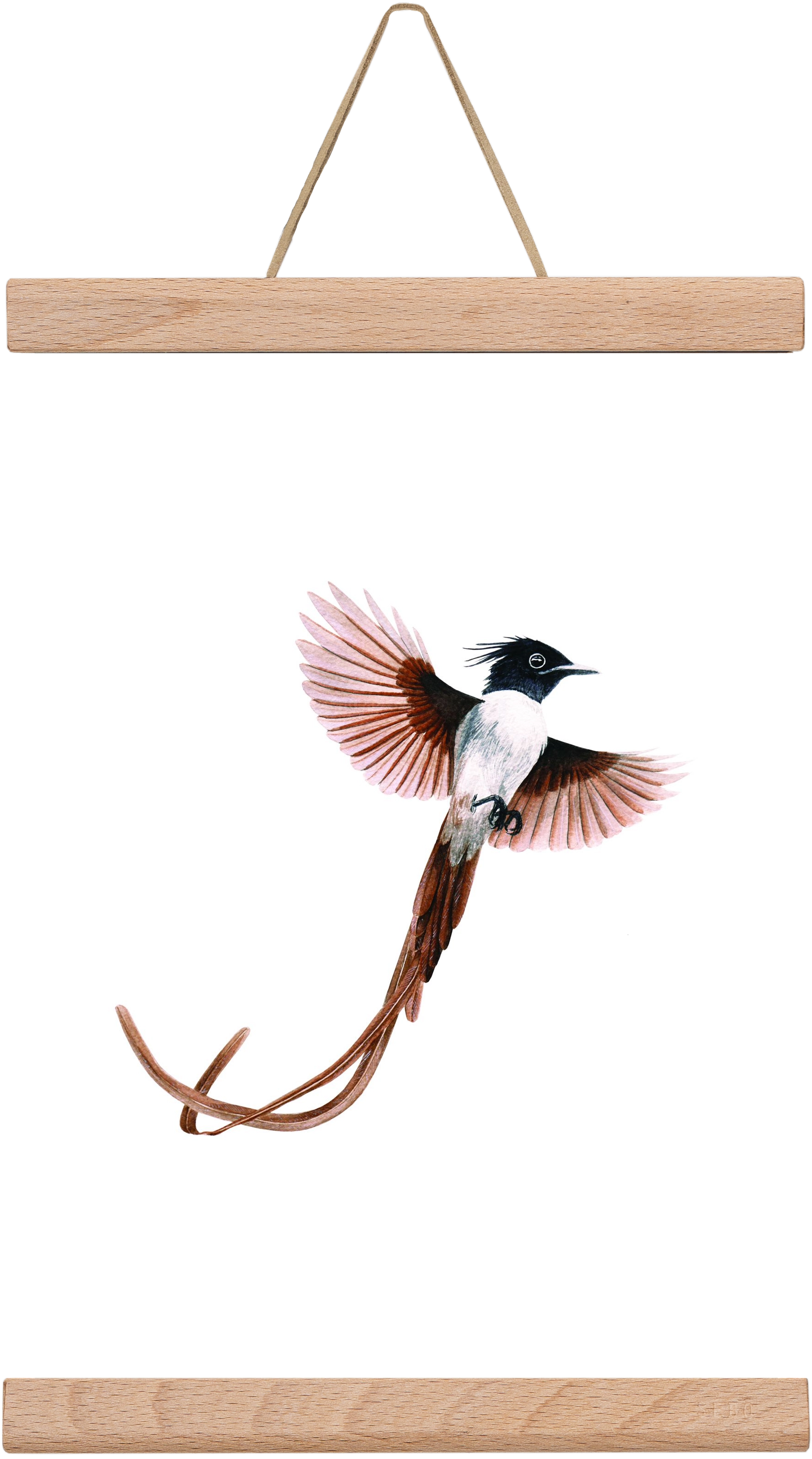 flycatcher, 20x30 cm (20x30 cm), Tölgy akasztó