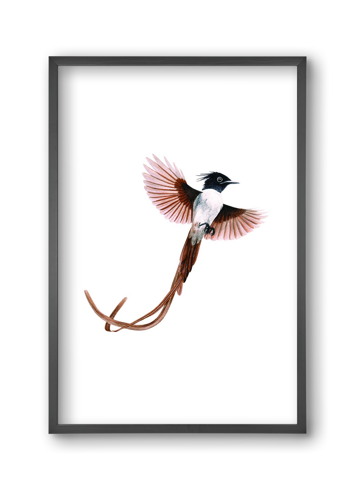 flycatcher, 30x45 cm (30x45 cm), Fekete keret