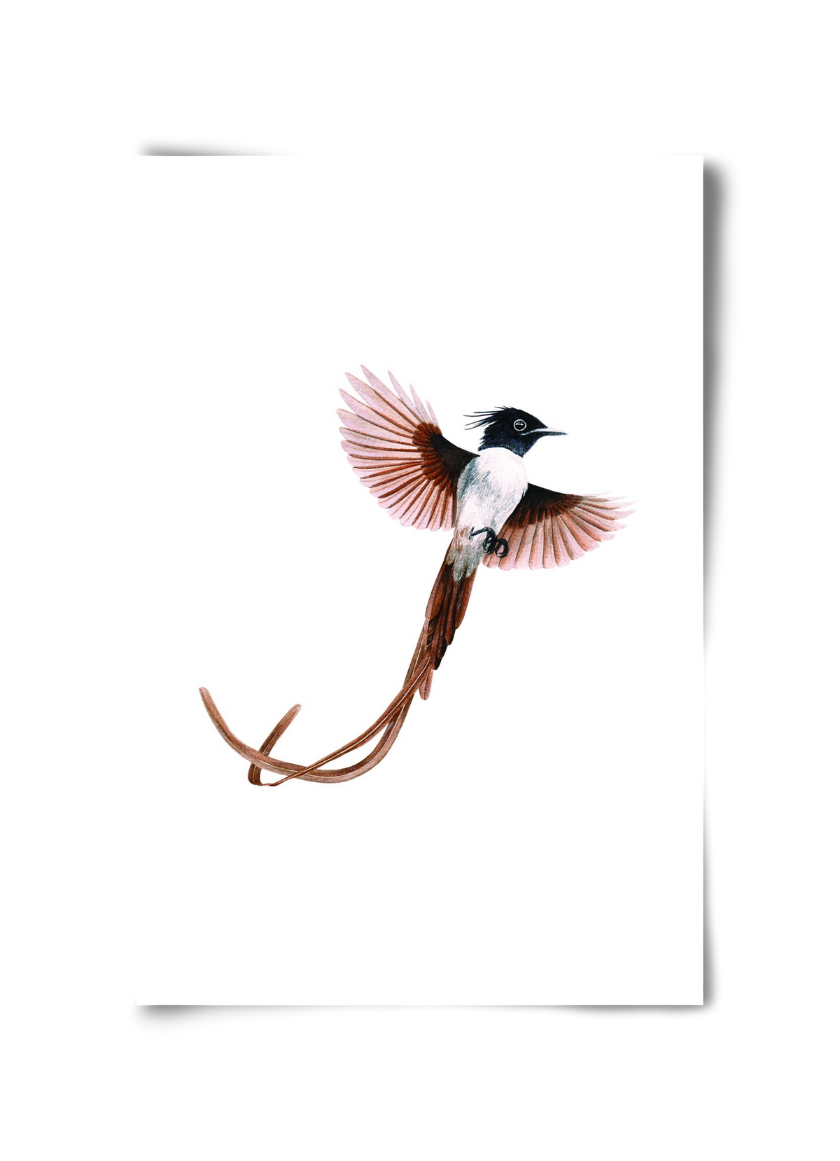 flycatcher, 30x45 cm, Keret nélkül