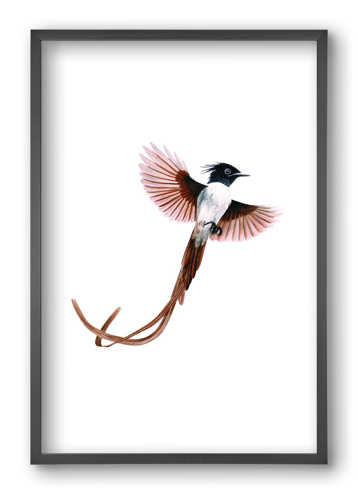 flycatcher, 40x60 cm (40x60 cm), Fekete keret