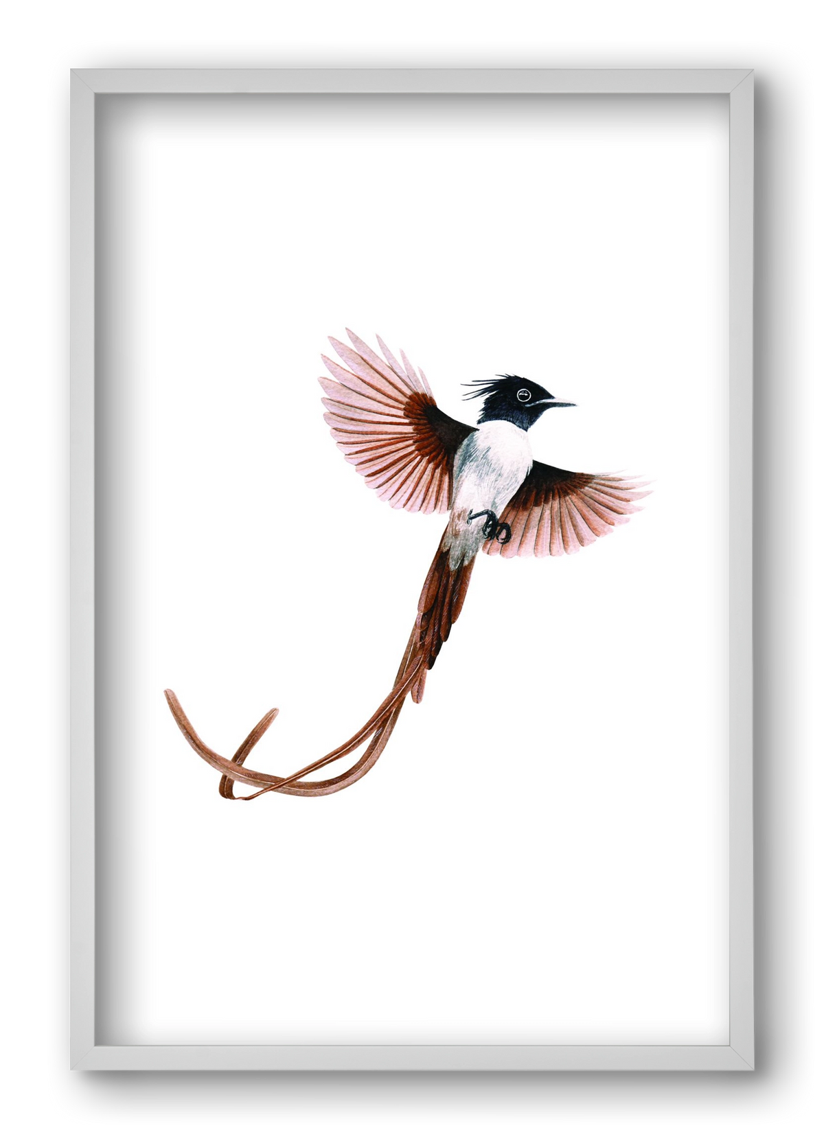 flycatcher, 40x60 cm (40x60 cm), Fehér keret