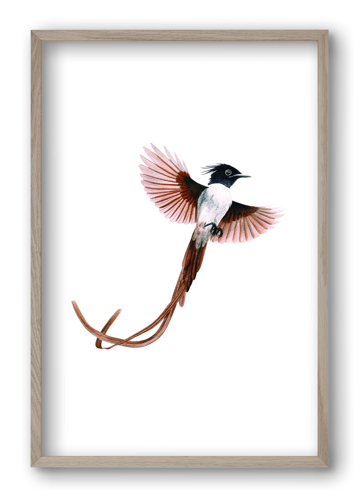 flycatcher, 40x60 cm (40x60 cm), Tölgy keret