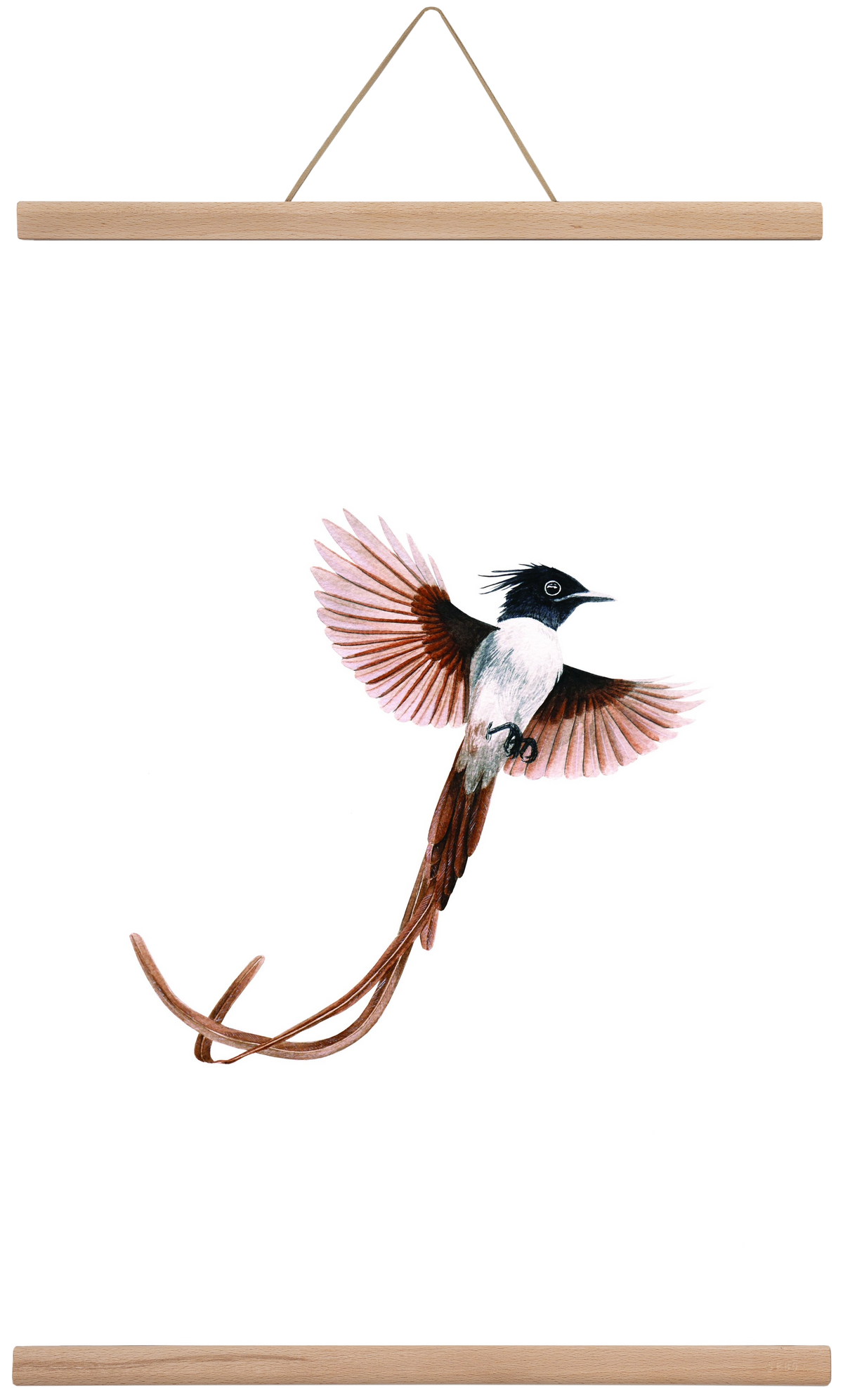 flycatcher, 40x60 cm (40x60 cm), Tölgy akasztó