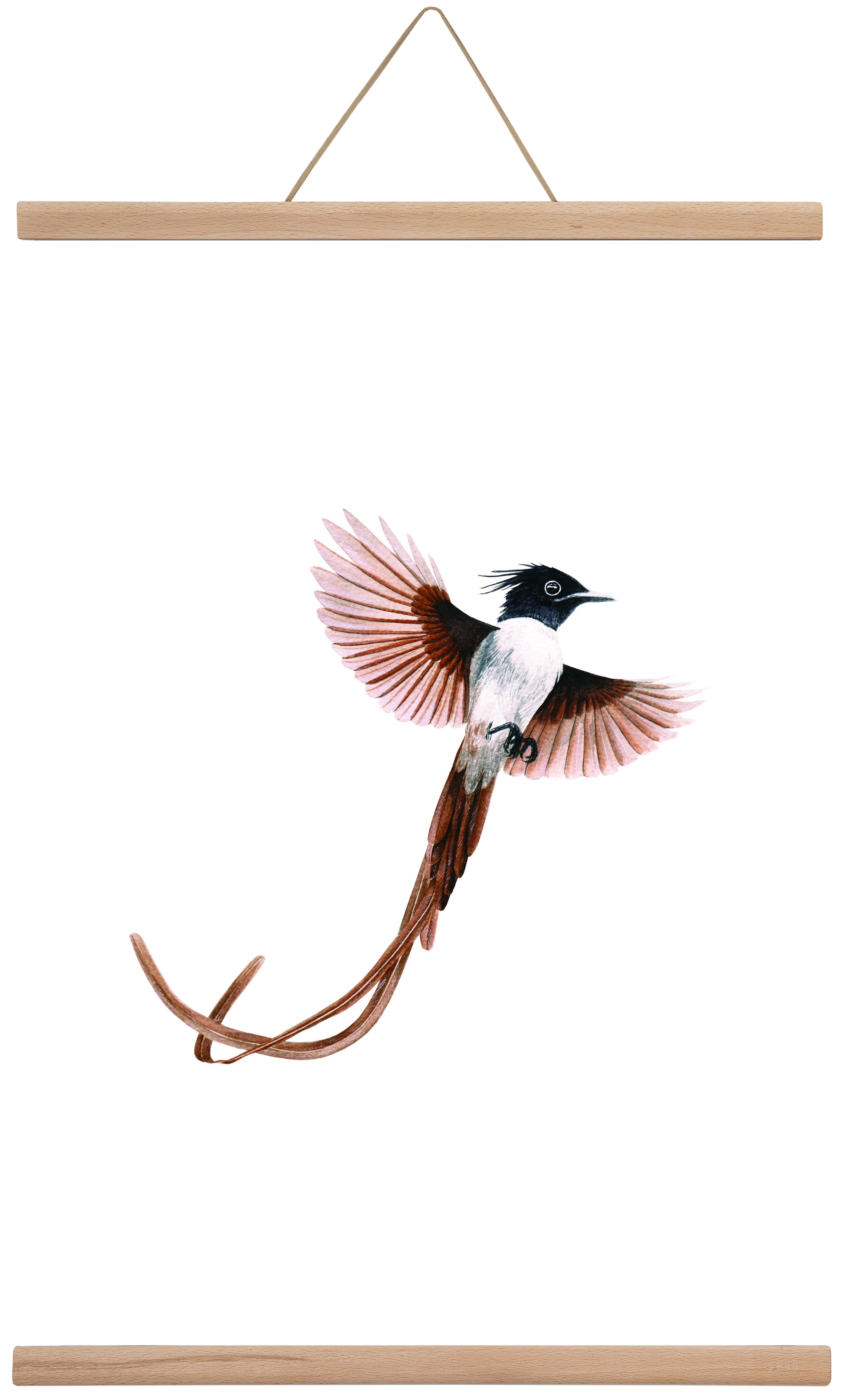 flycatcher, 40x60 cm (40x60 cm), Tölgy akasztó