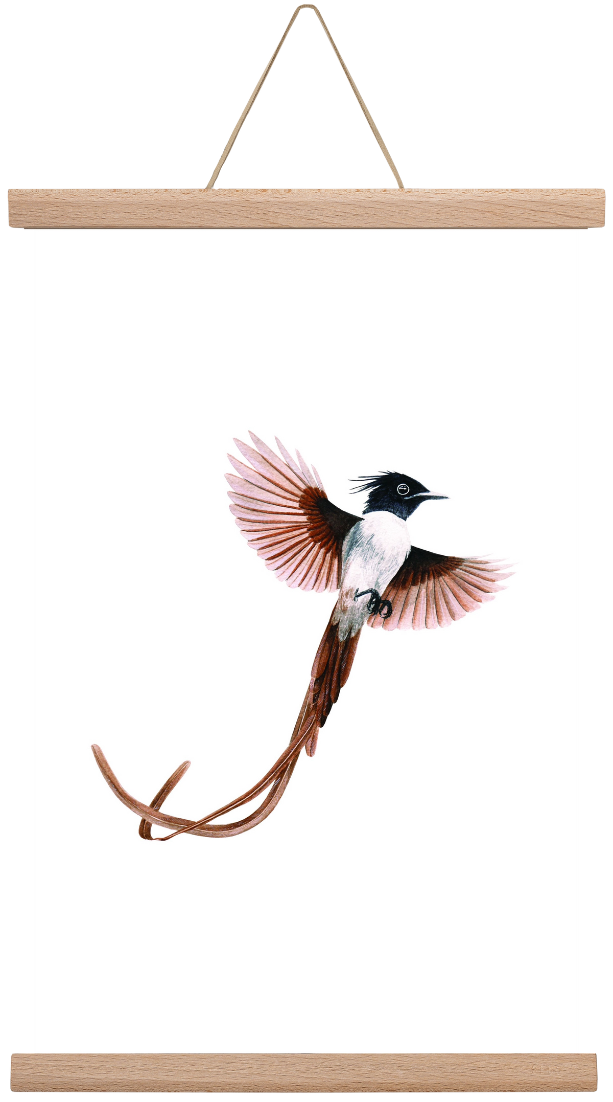 flycatcher, 30x45 cm (30x45 cm), Tölgy akasztó