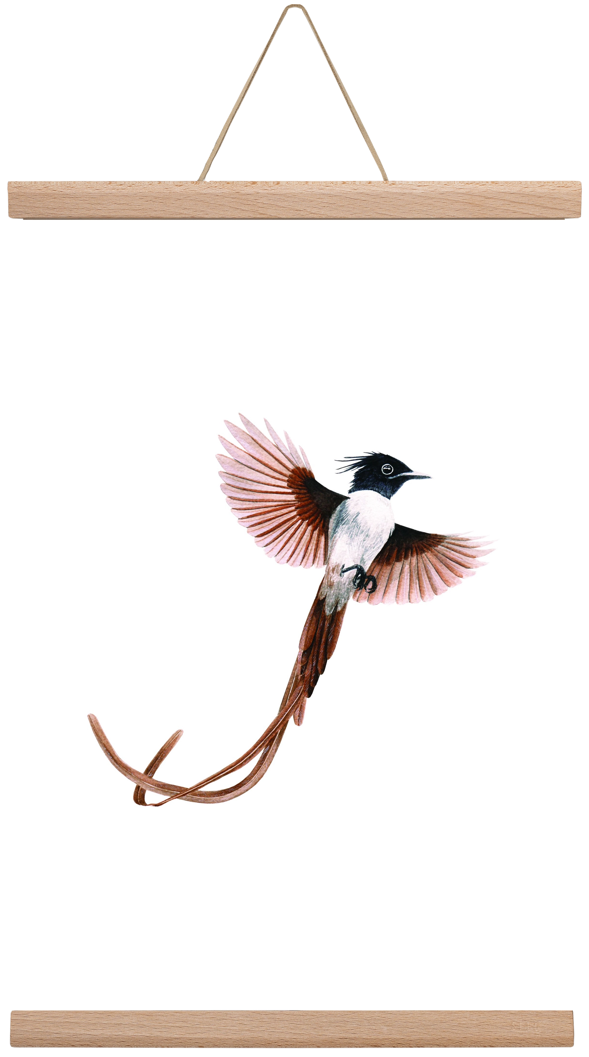 flycatcher, 30x45 cm (30x45 cm), Tölgy akasztó