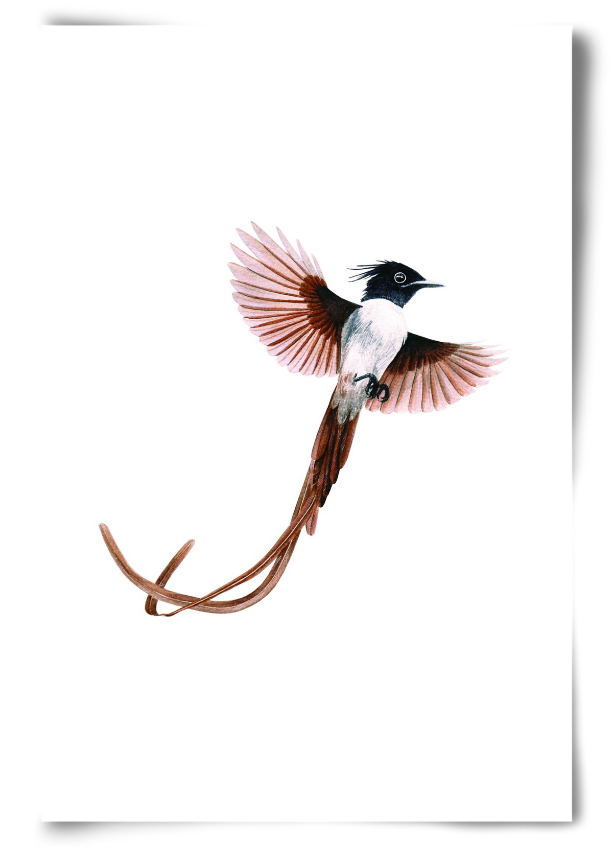 flycatcher, 60x90 cm, Keret nélkül