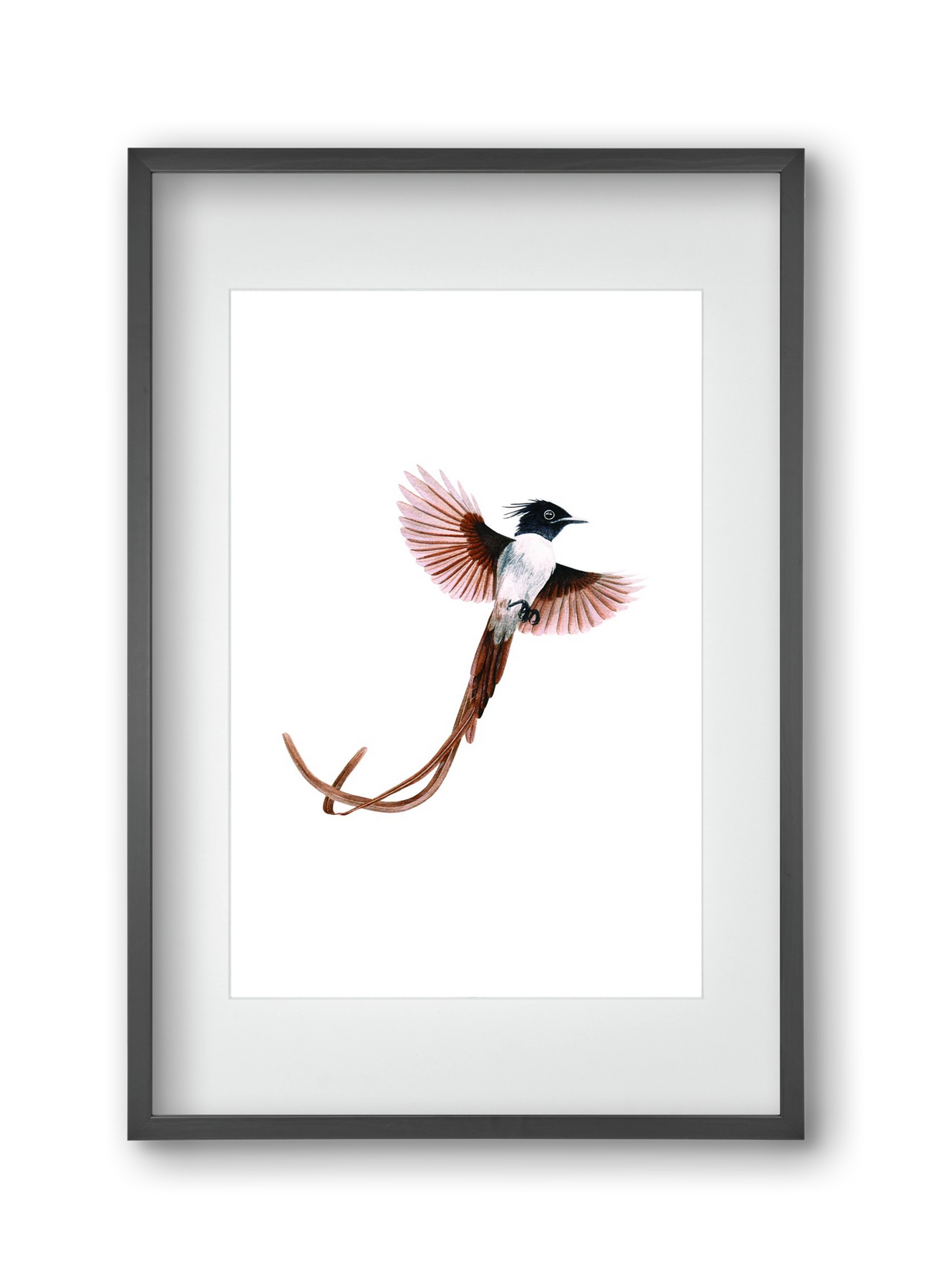 flycatcher, 30x45 cm (20x30 cm), Fekete keret, paszpartuval