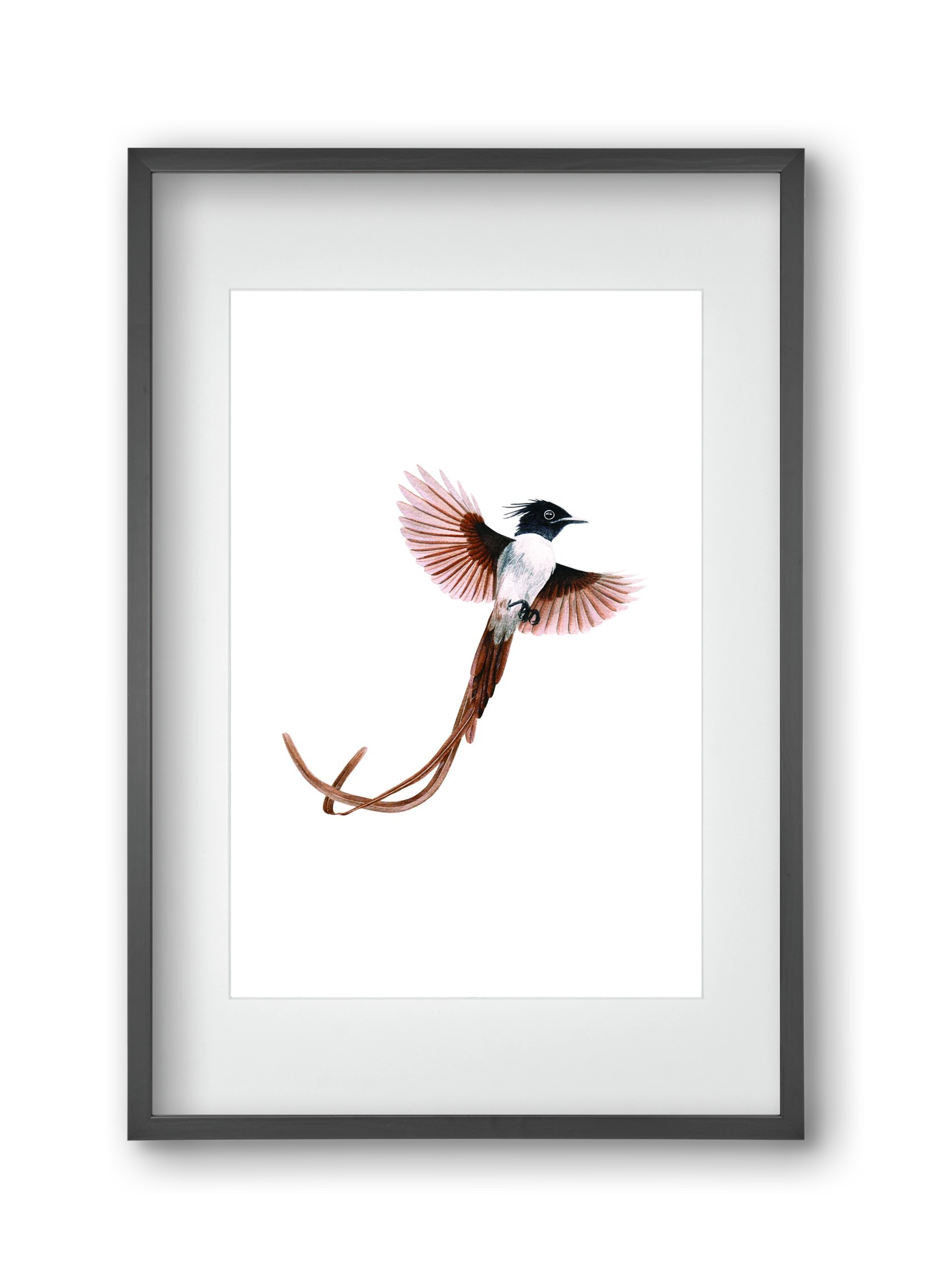 flycatcher, 30x45 cm (20x30 cm), Fekete keret, paszpartuval