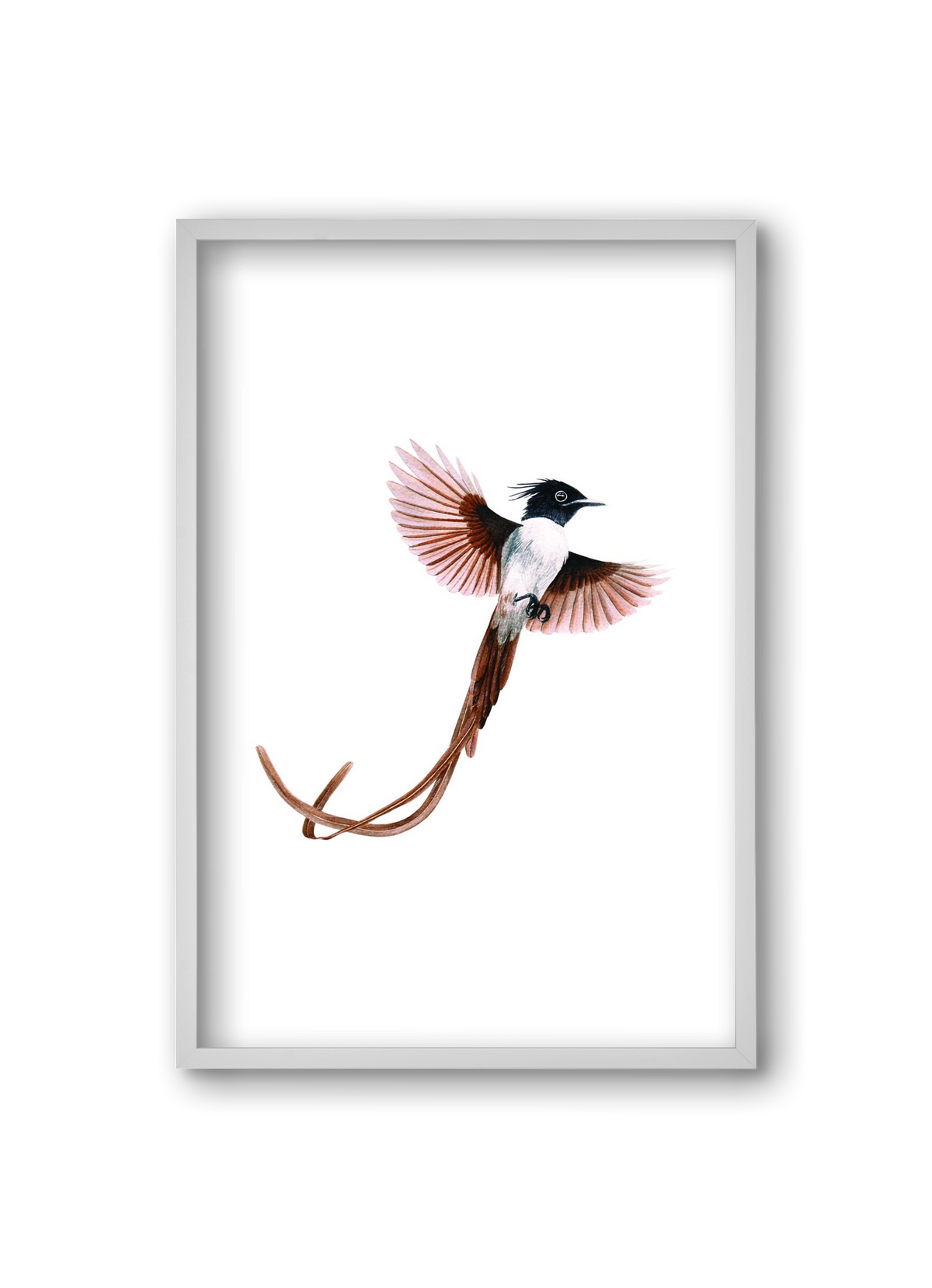 flycatcher, 20x30 cm (20x30 cm), Fehér keret