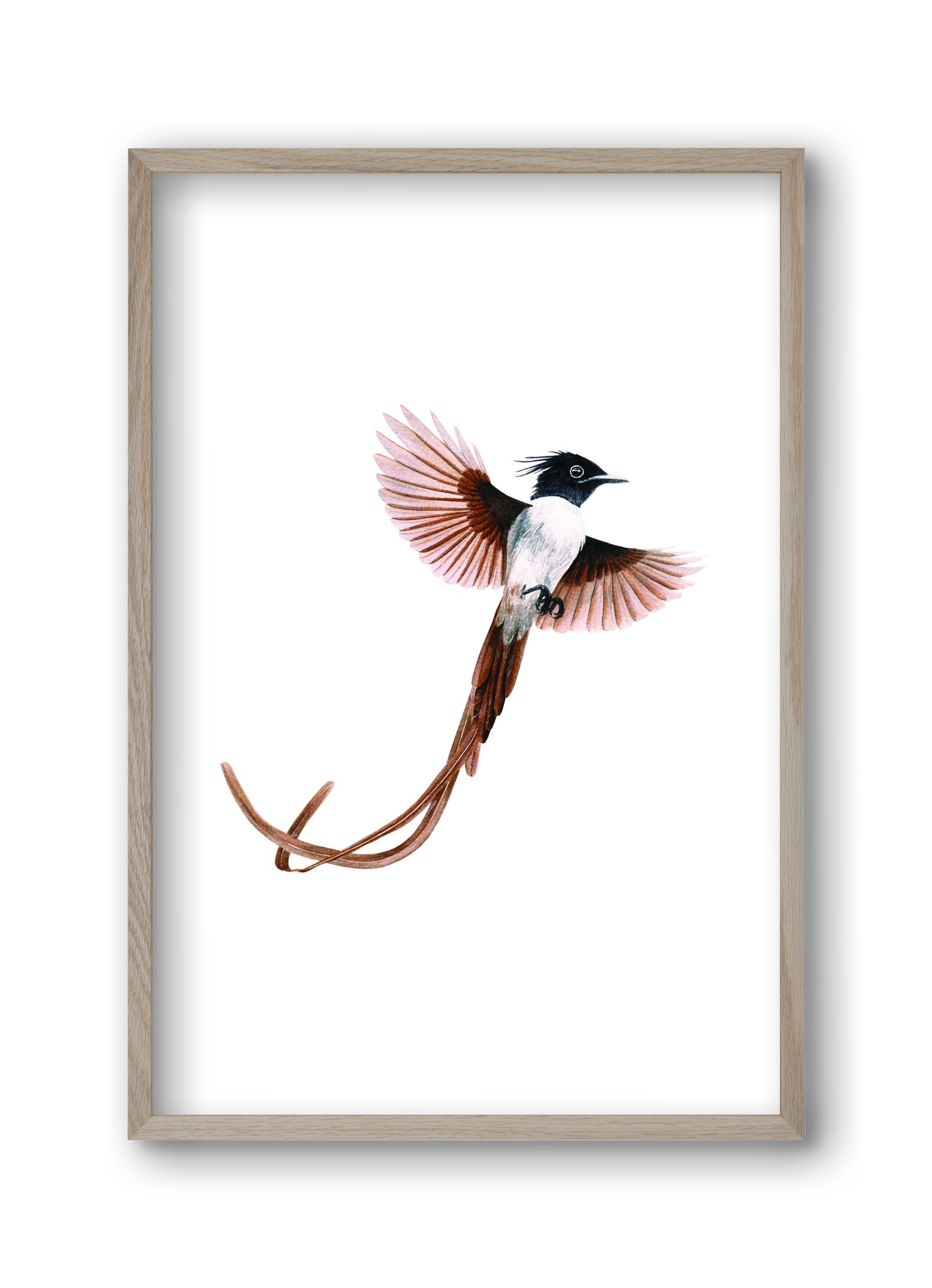 flycatcher, 30x45 cm (30x45 cm), Tölgy keret