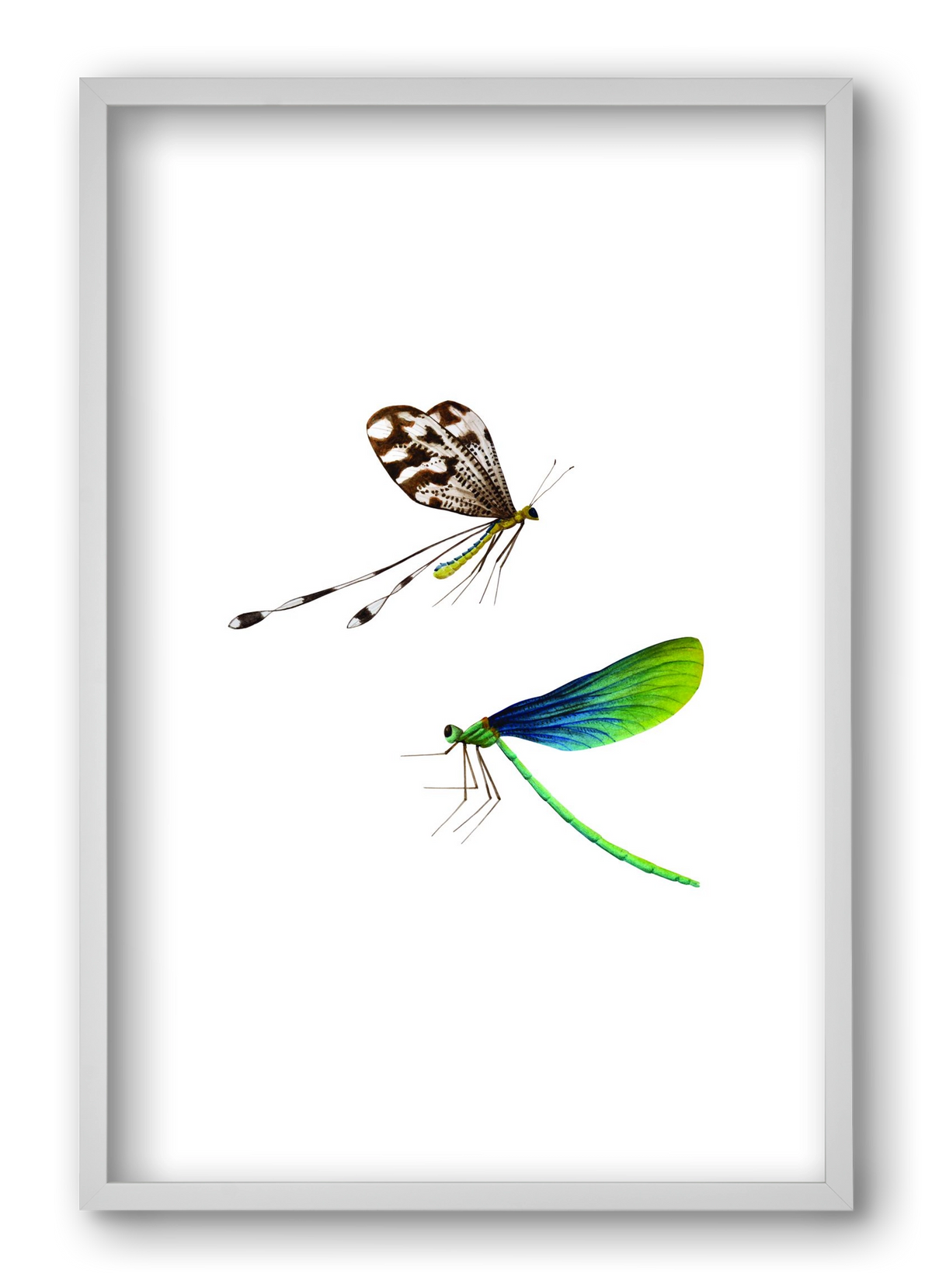 dragonflies, 40x60 cm (40x60 cm), Fehér keret