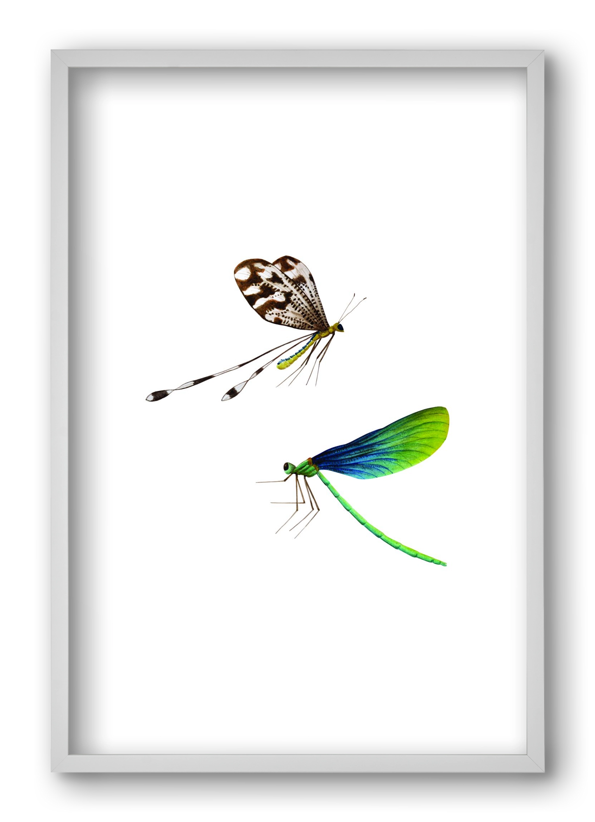 dragonflies, 40x60 cm (40x60 cm), Fehér keret