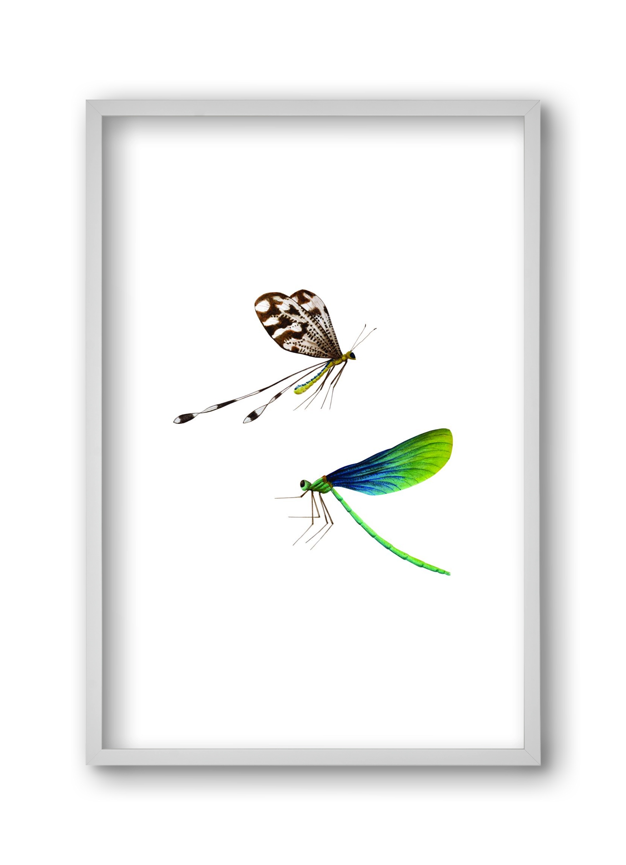 dragonflies, 30x45 cm (30x45 cm), Fehér keret