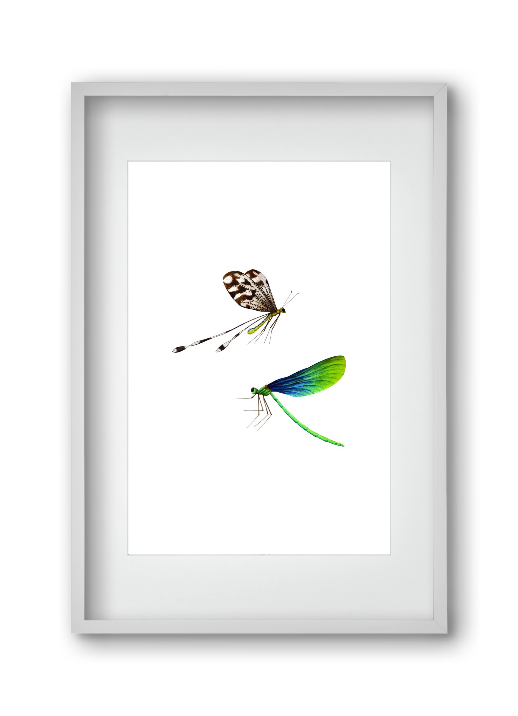 dragonflies, 30x45 cm (20x30 cm), Fehér keret, paszpartuval