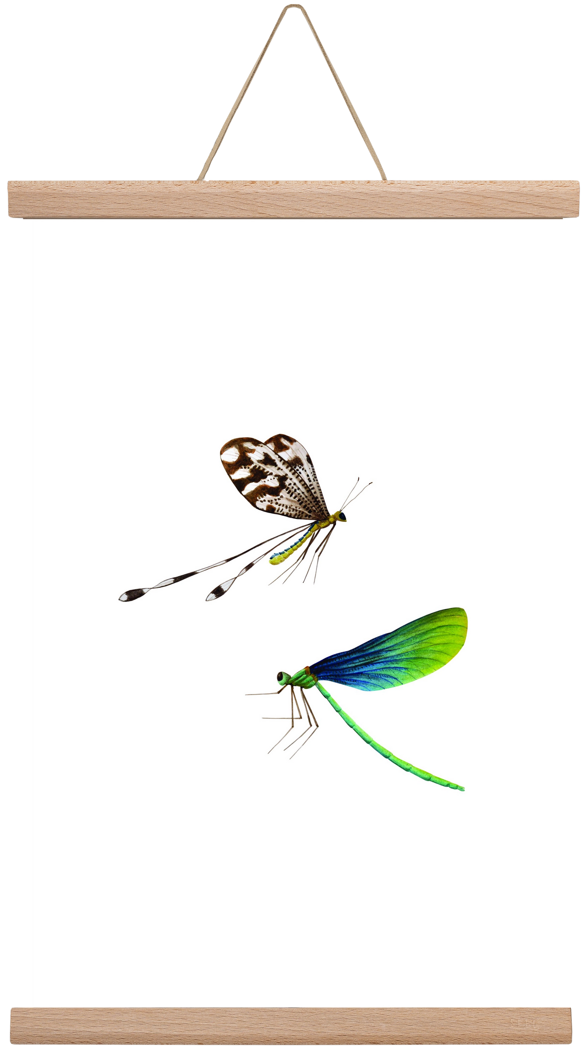 dragonflies, 30x45 cm (30x45 cm), Tölgy akasztó