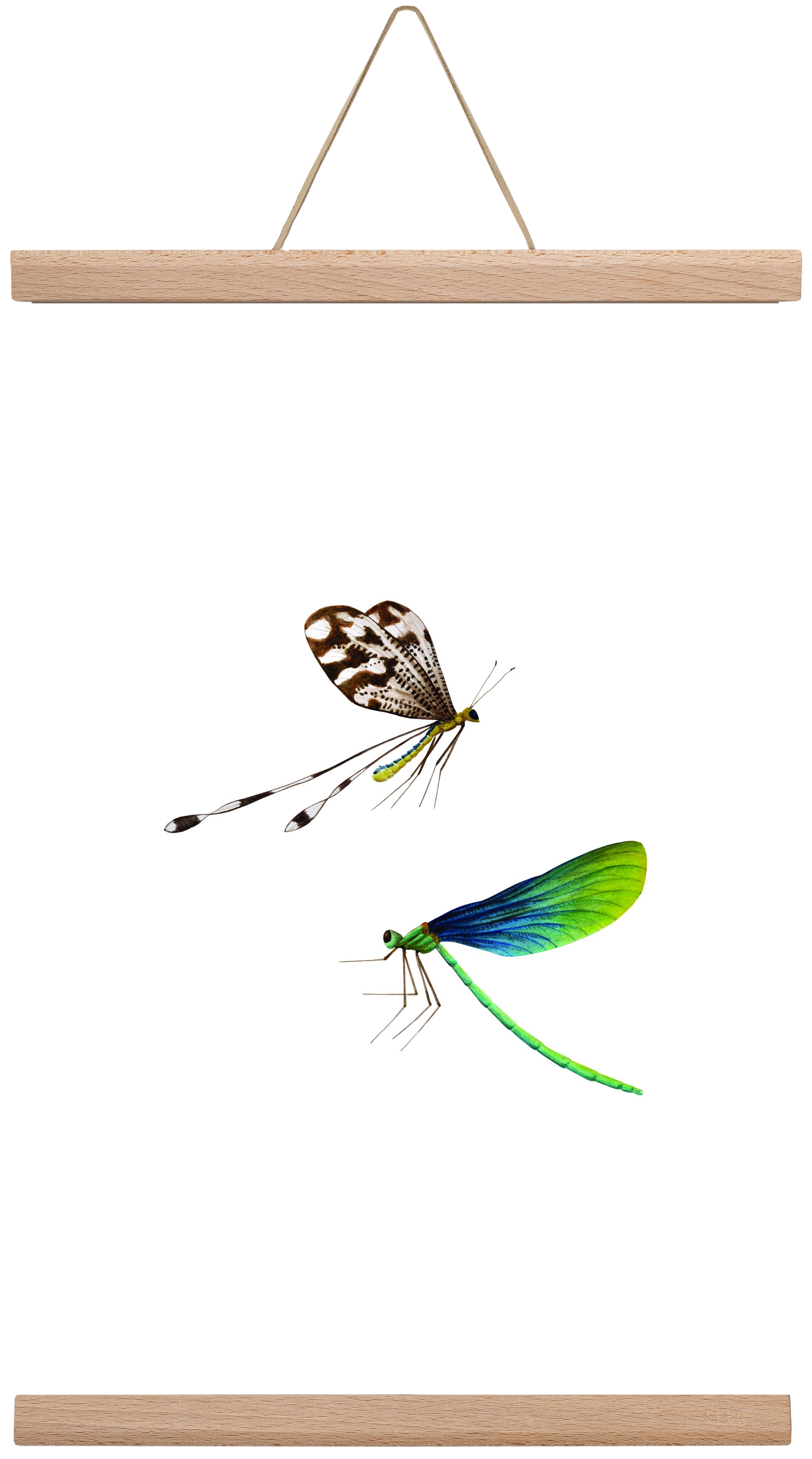 dragonflies, 30x45 cm (30x45 cm), Tölgy akasztó