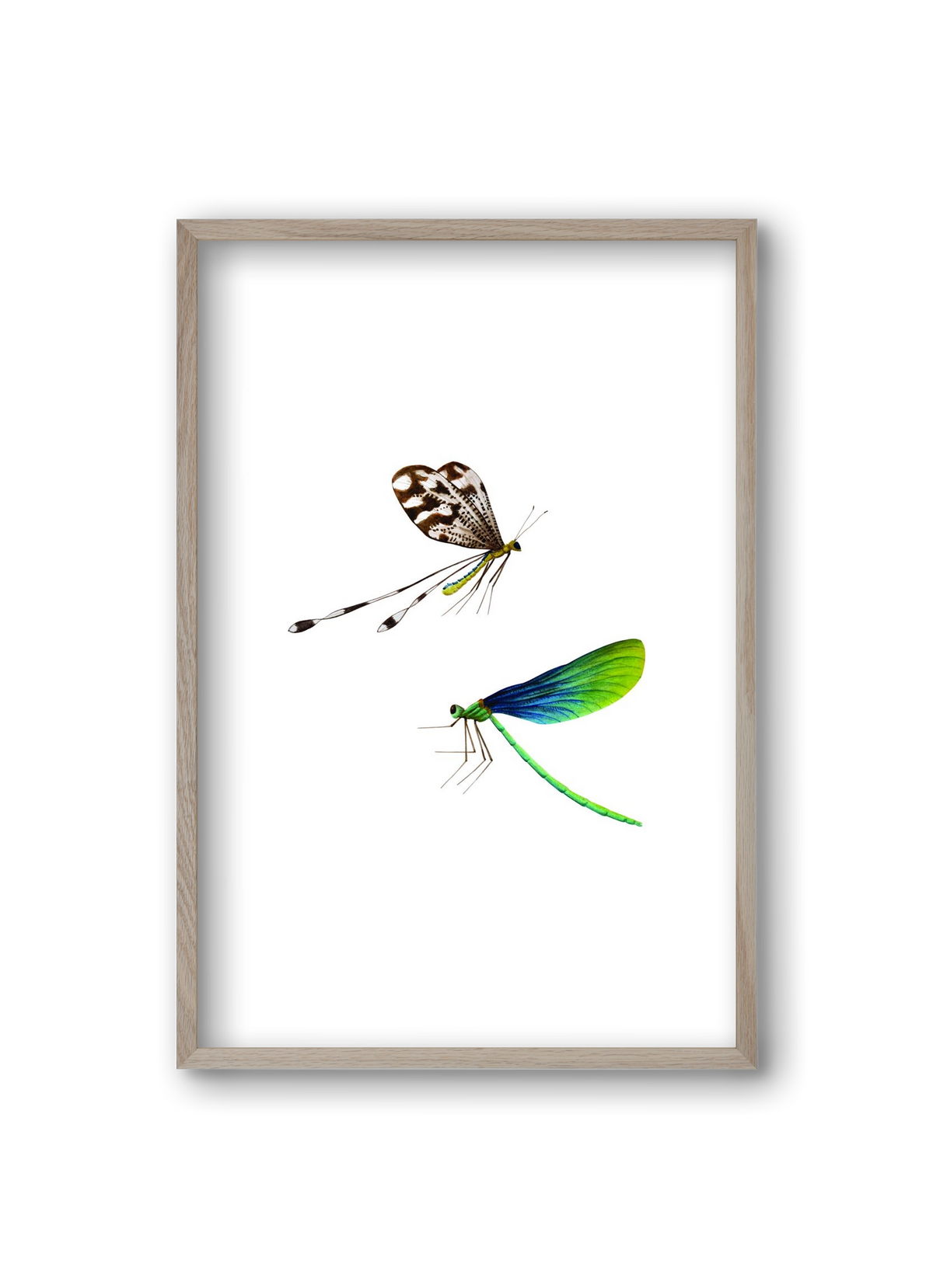dragonflies, 20x30 cm (20x30 cm), Tölgy keret