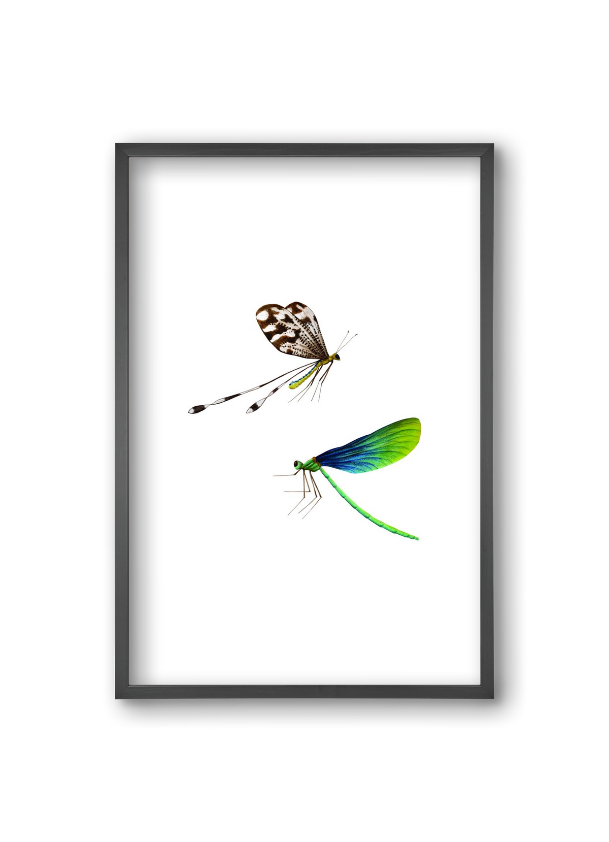 dragonflies, 20x30 cm (20x30 cm), Fekete keret