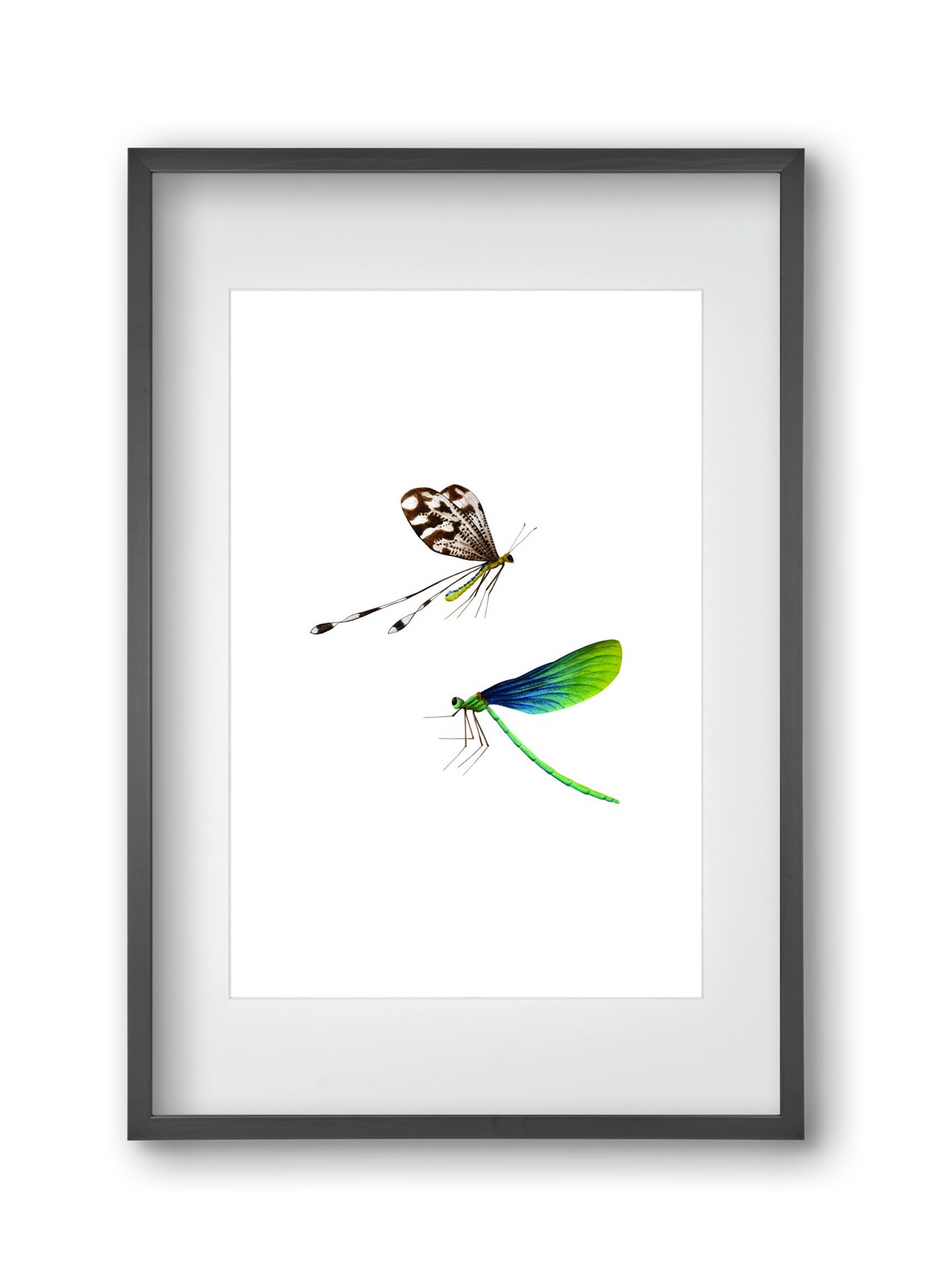 dragonflies, 30x45 cm (20x30 cm), Fekete keret, paszpartuval