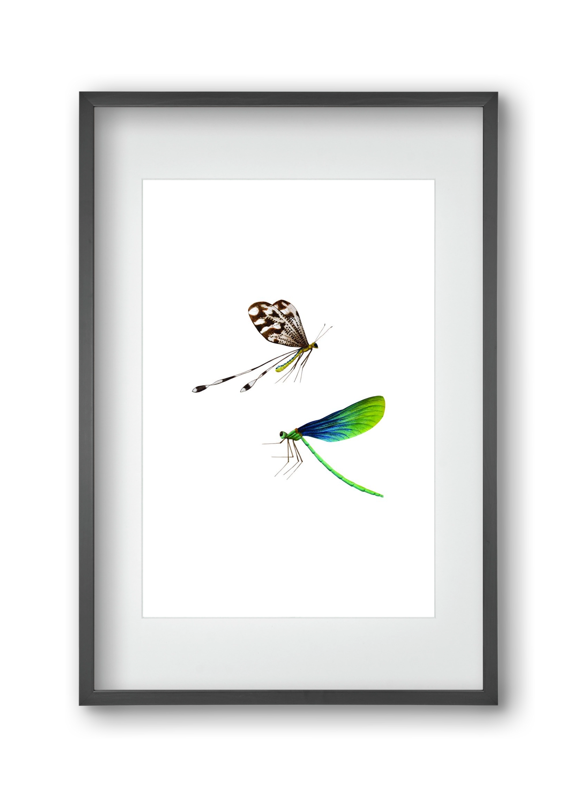 dragonflies, 30x45 cm (20x30 cm), Fekete keret, paszpartuval