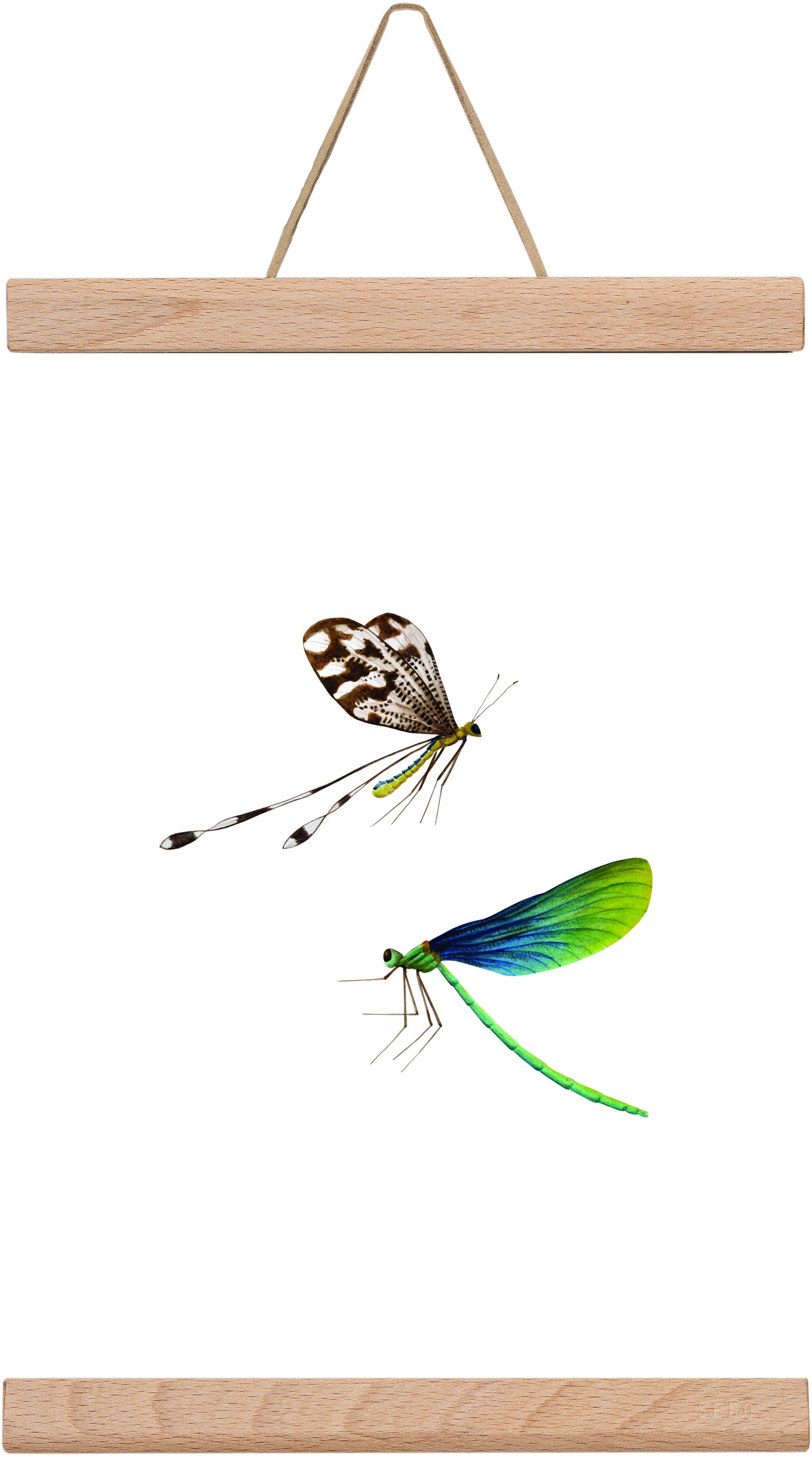 dragonflies, 20x30 cm (20x30 cm), Tölgy akasztó