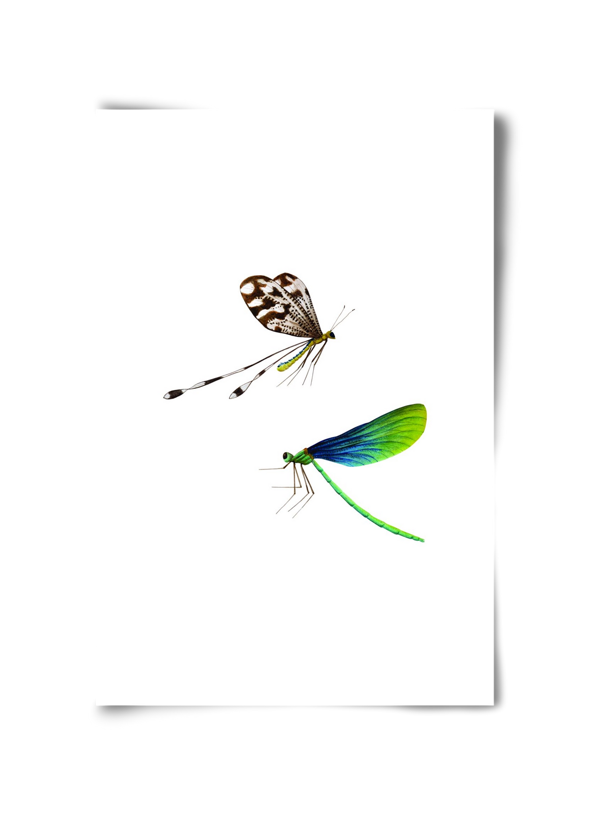 dragonflies, 30x45 cm, Keret nélkül