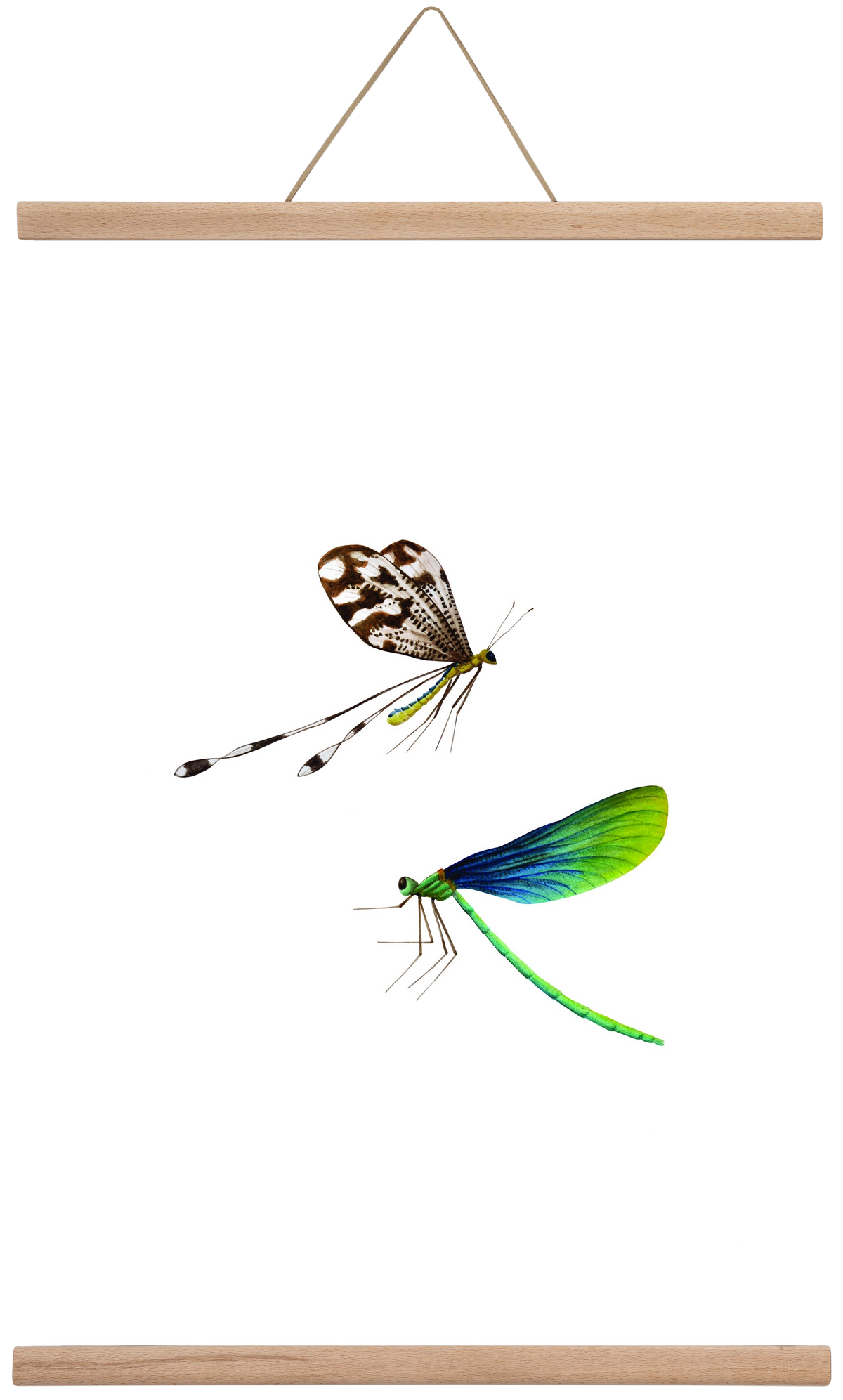 dragonflies, 40x60 cm (40x60 cm), Tölgy akasztó