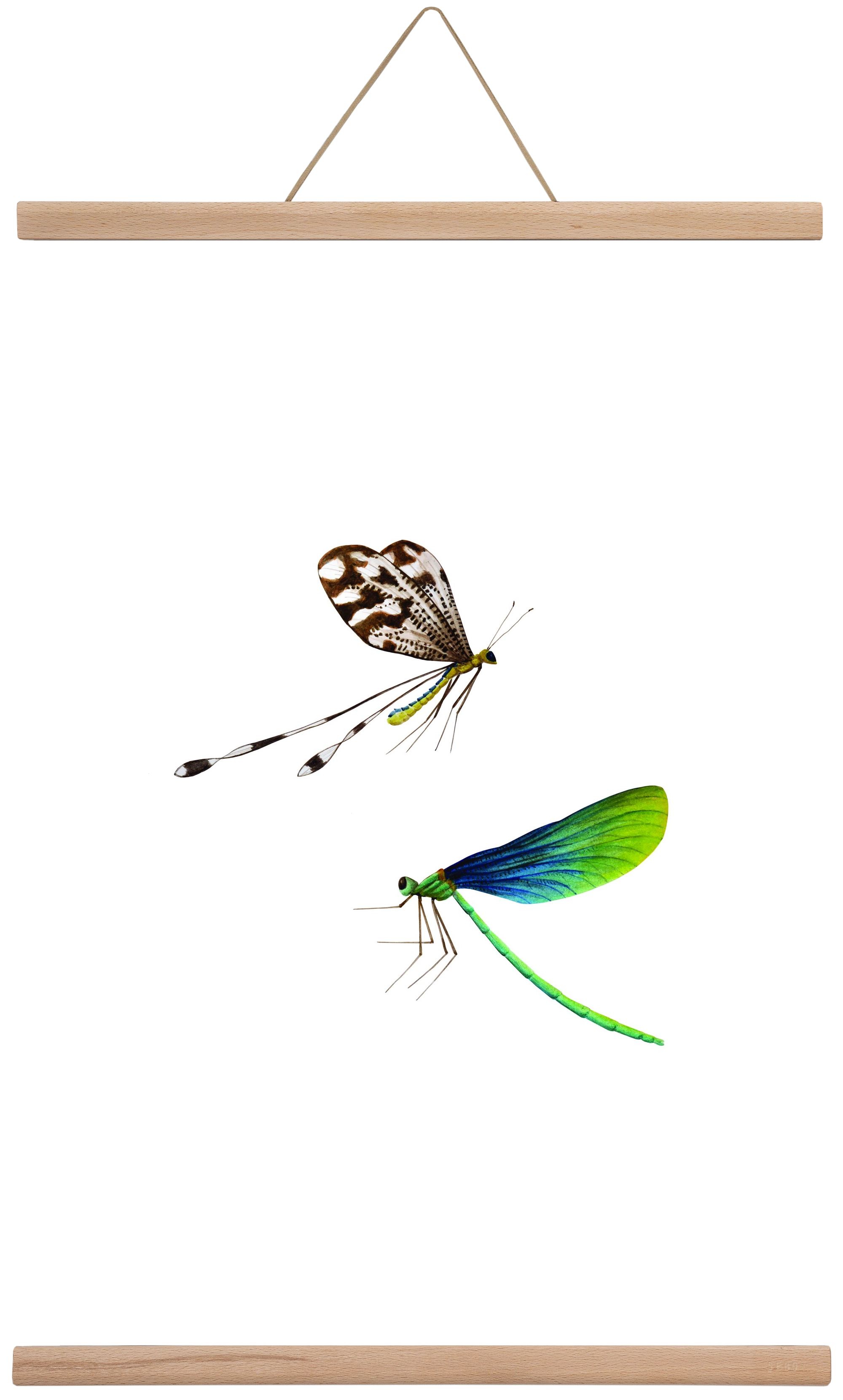 dragonflies, 40x60 cm (40x60 cm), Tölgy akasztó