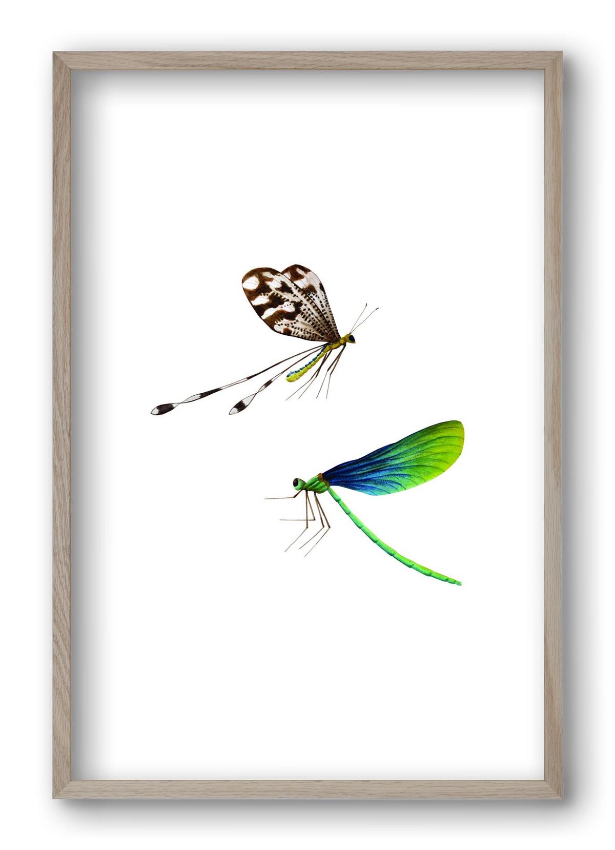 dragonflies, 40x60 cm (40x60 cm), Tölgy keret