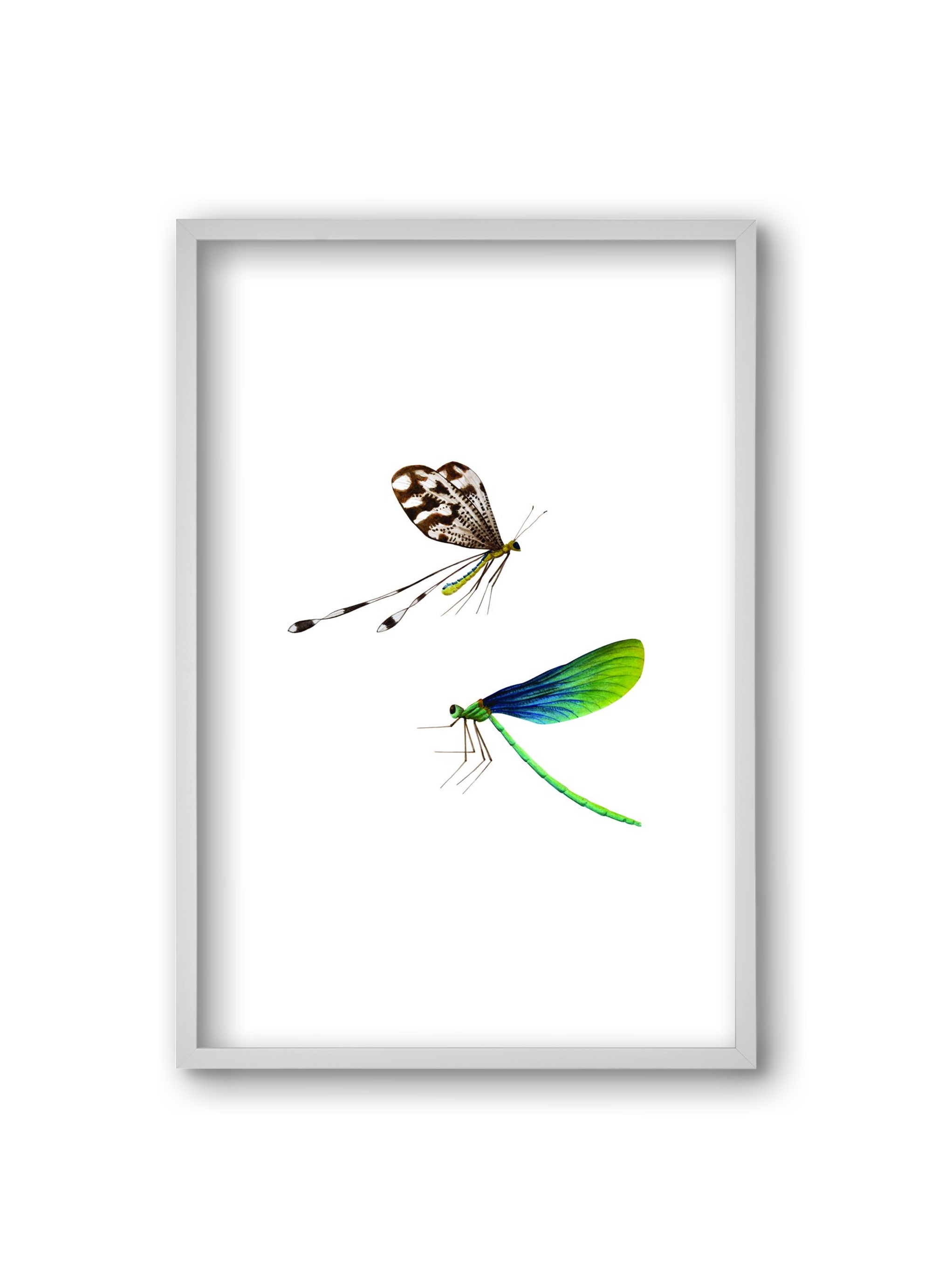 dragonflies, 20x30 cm (20x30 cm), Fehér keret