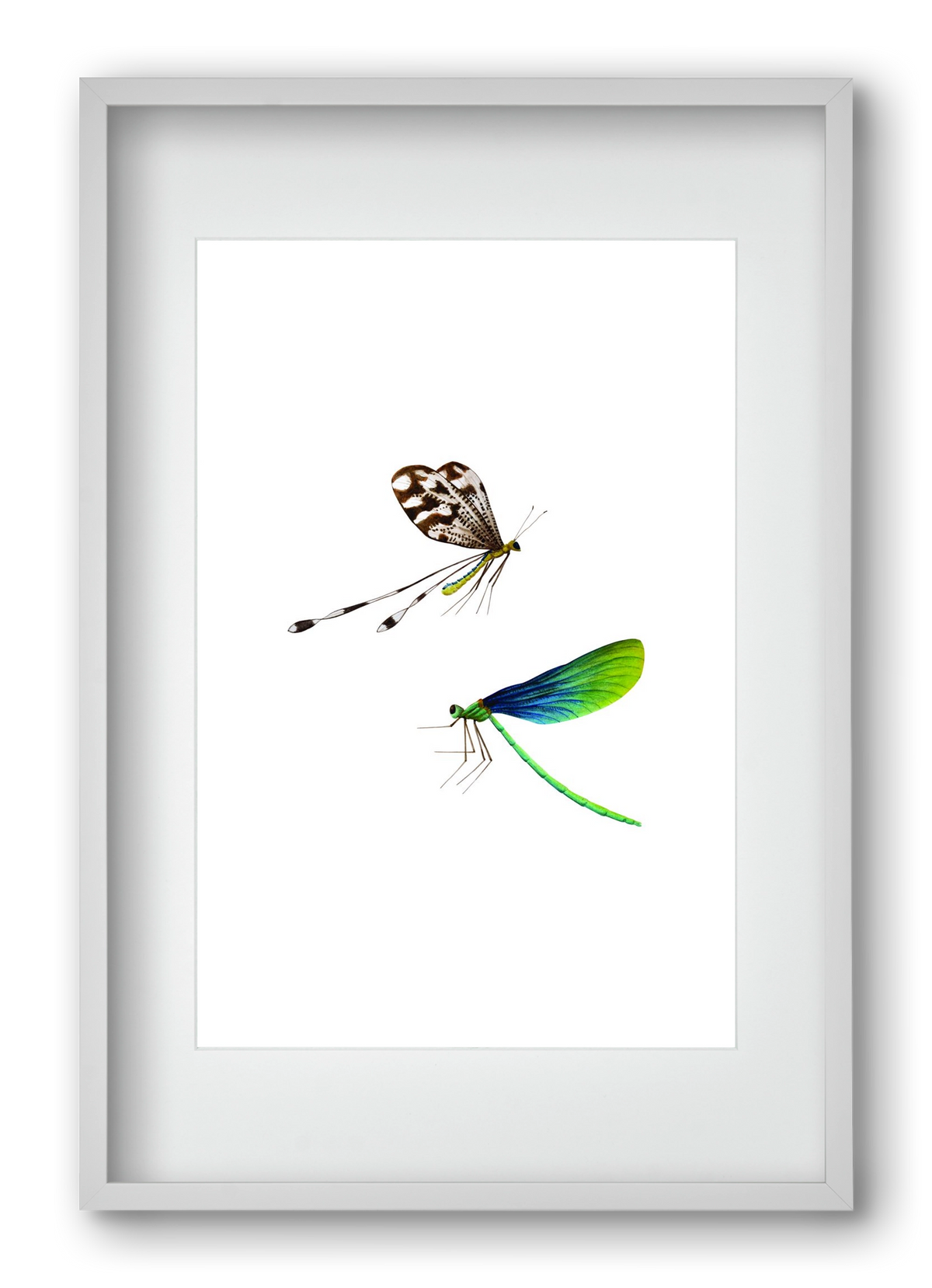dragonflies, 40x60 cm (30x45 cm), Fehér keret, paszpartuval