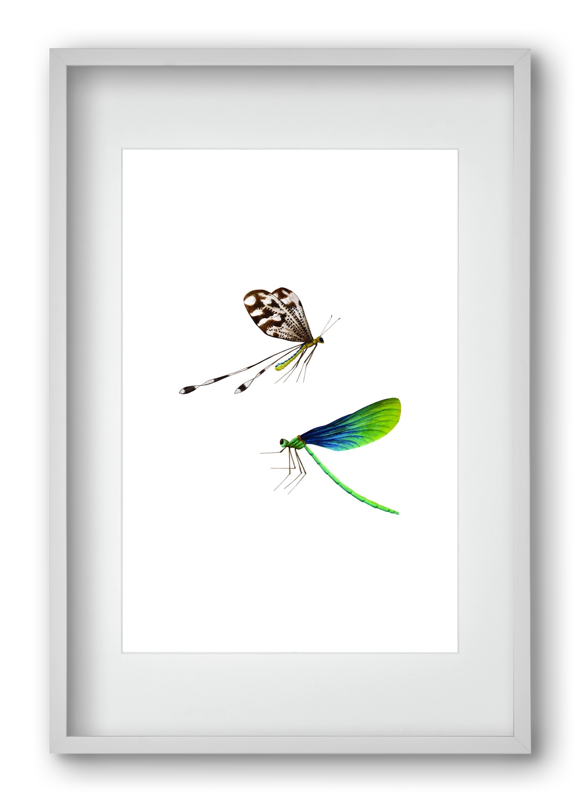 dragonflies, 40x60 cm (30x45 cm), Fehér keret, paszpartuval