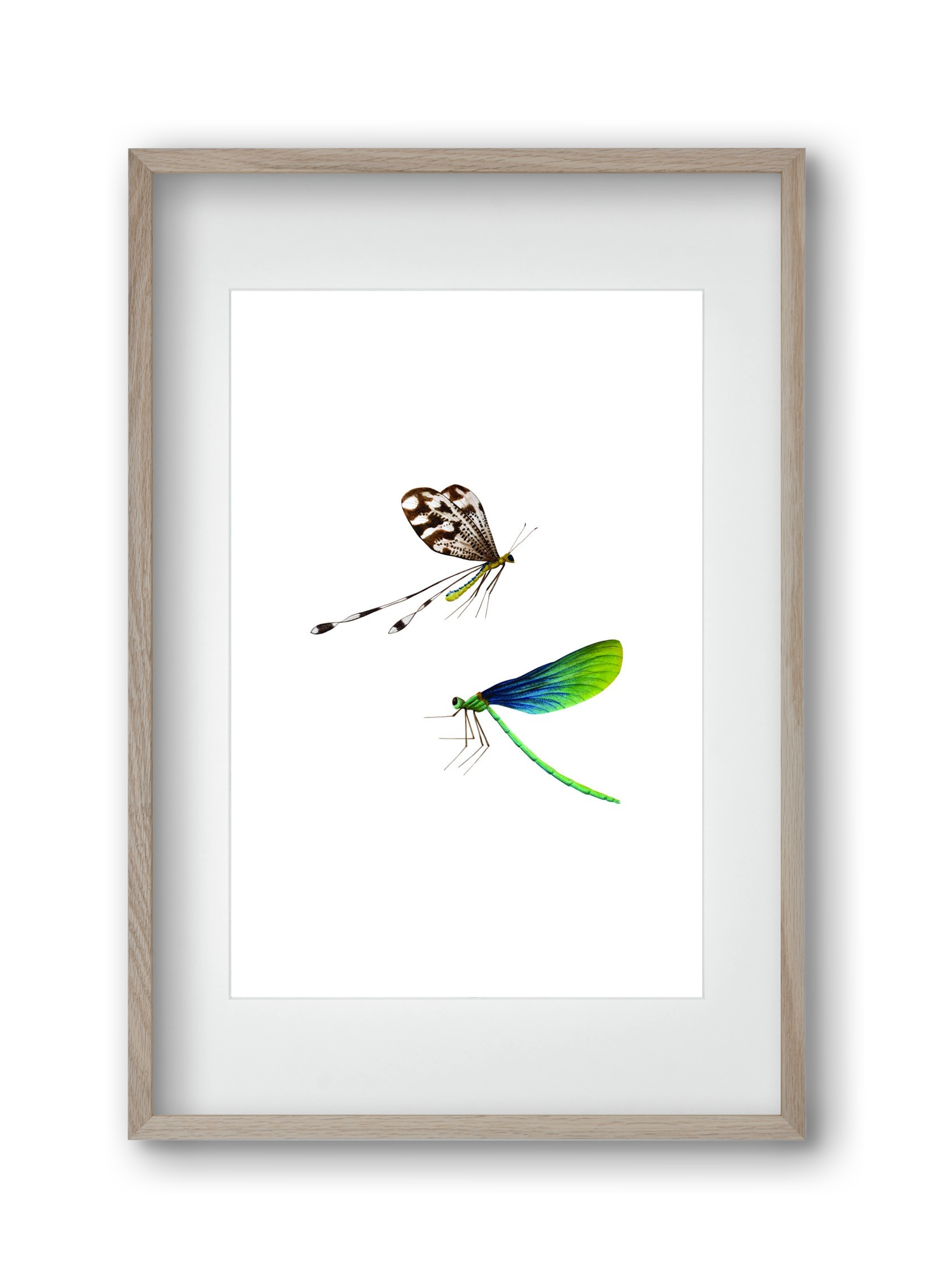 dragonflies, 30x45 cm (20x30 cm), Tölgy keret, paszpartuval