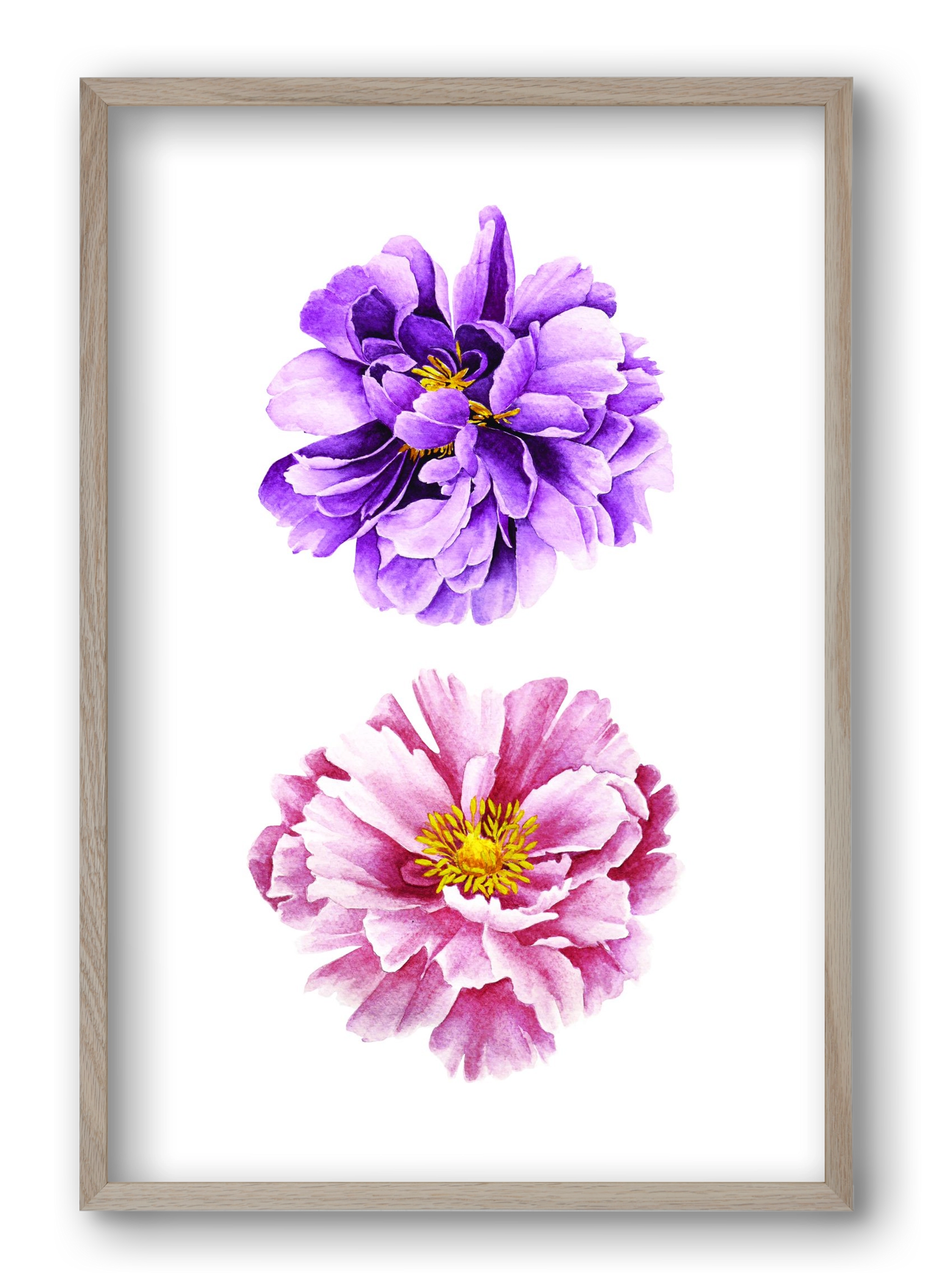 peonies, 40x60 cm (40x60 cm), Tölgy keret