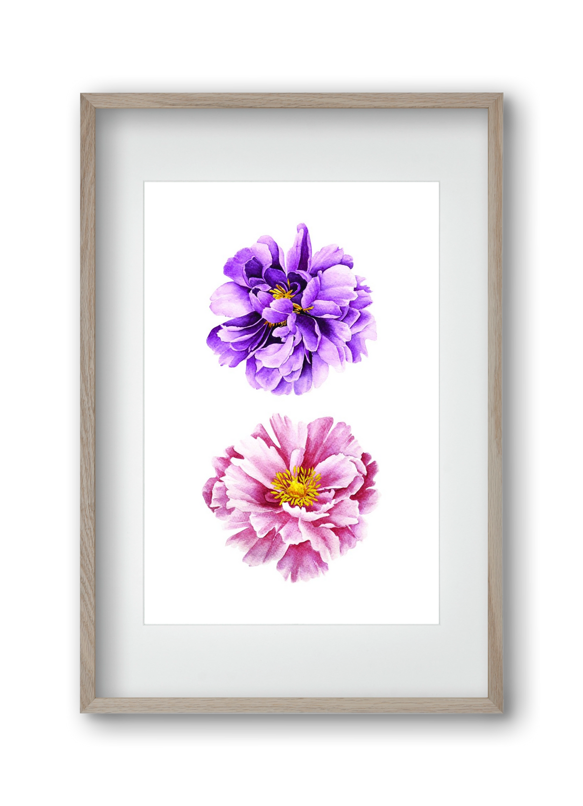 peonies, 30x45 cm (20x30 cm), Tölgy keret, paszpartuval