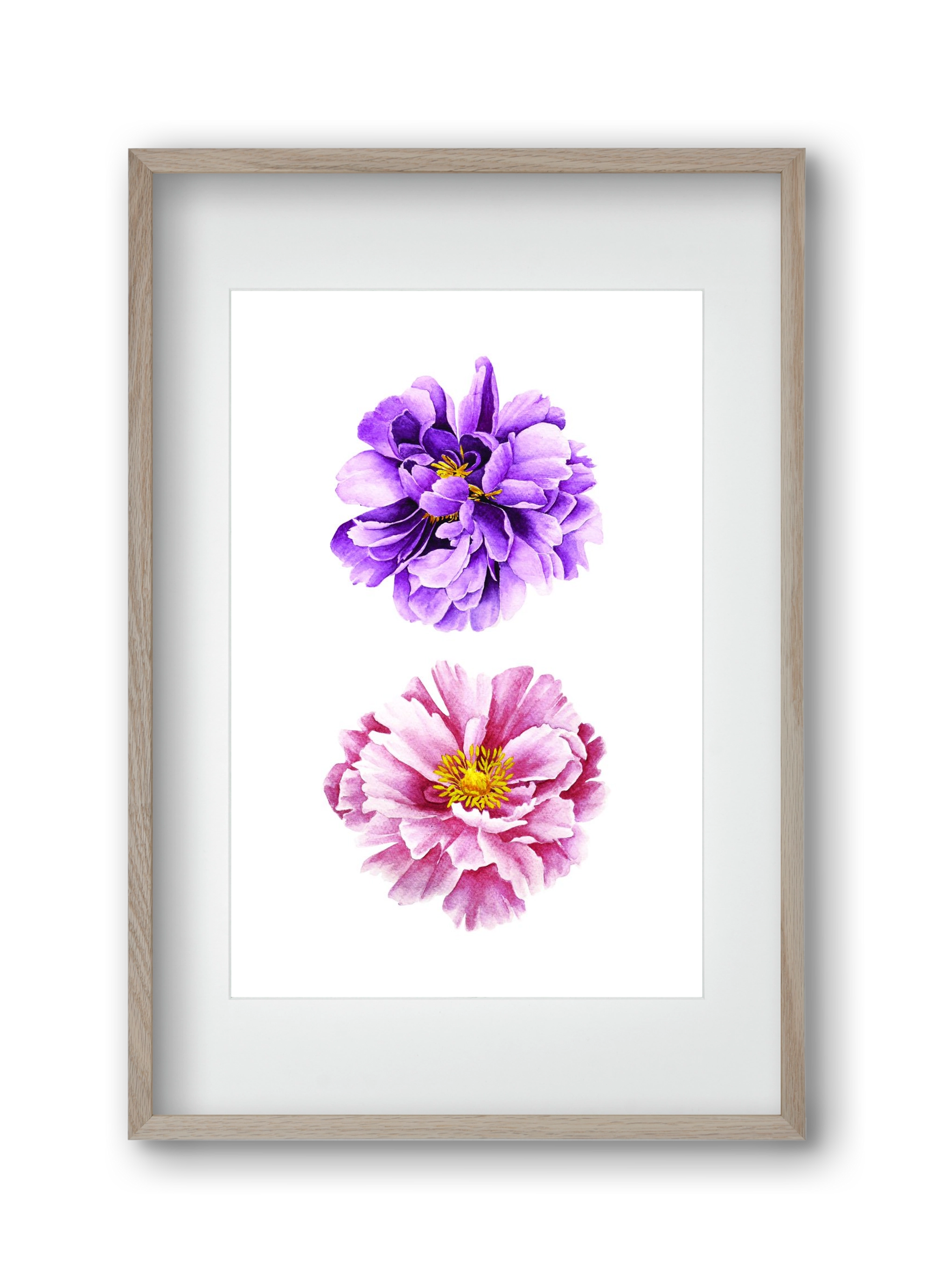 peonies, 30x45 cm (20x30 cm), Tölgy keret, paszpartuval