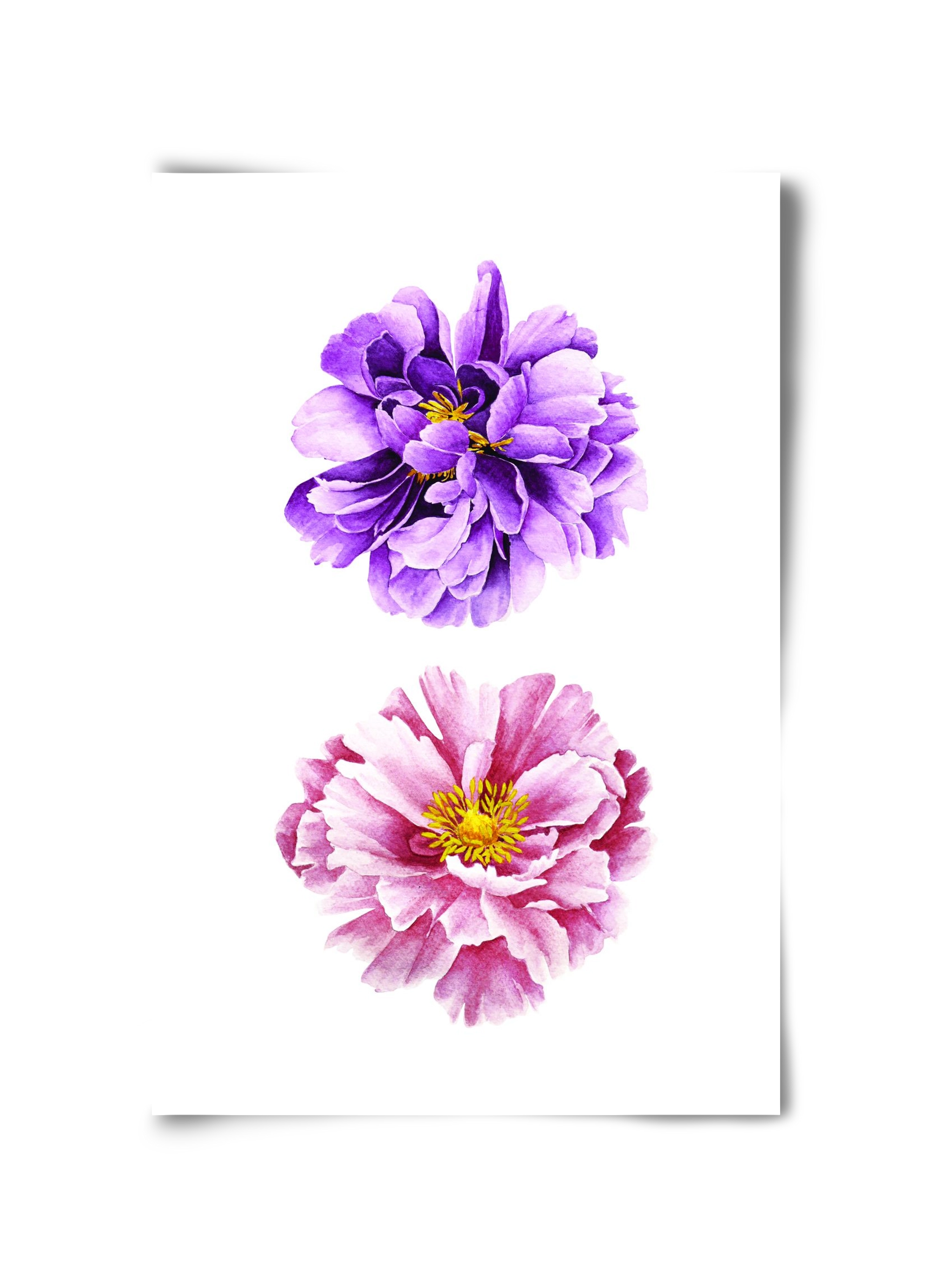 peonies, 30x45 cm, Keret nélkül