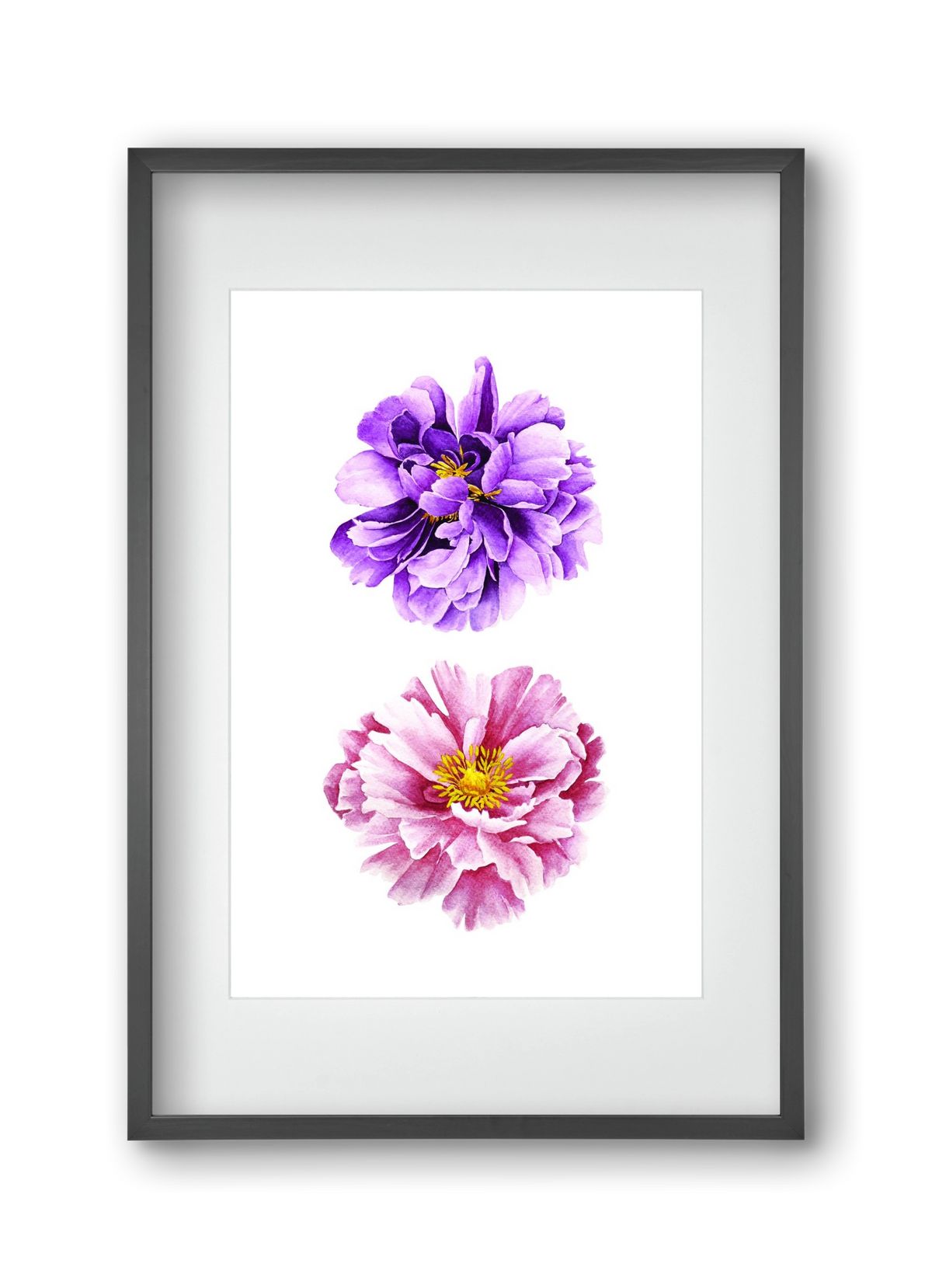 peonies, 30x45 cm (20x30 cm), Fekete keret, paszpartuval