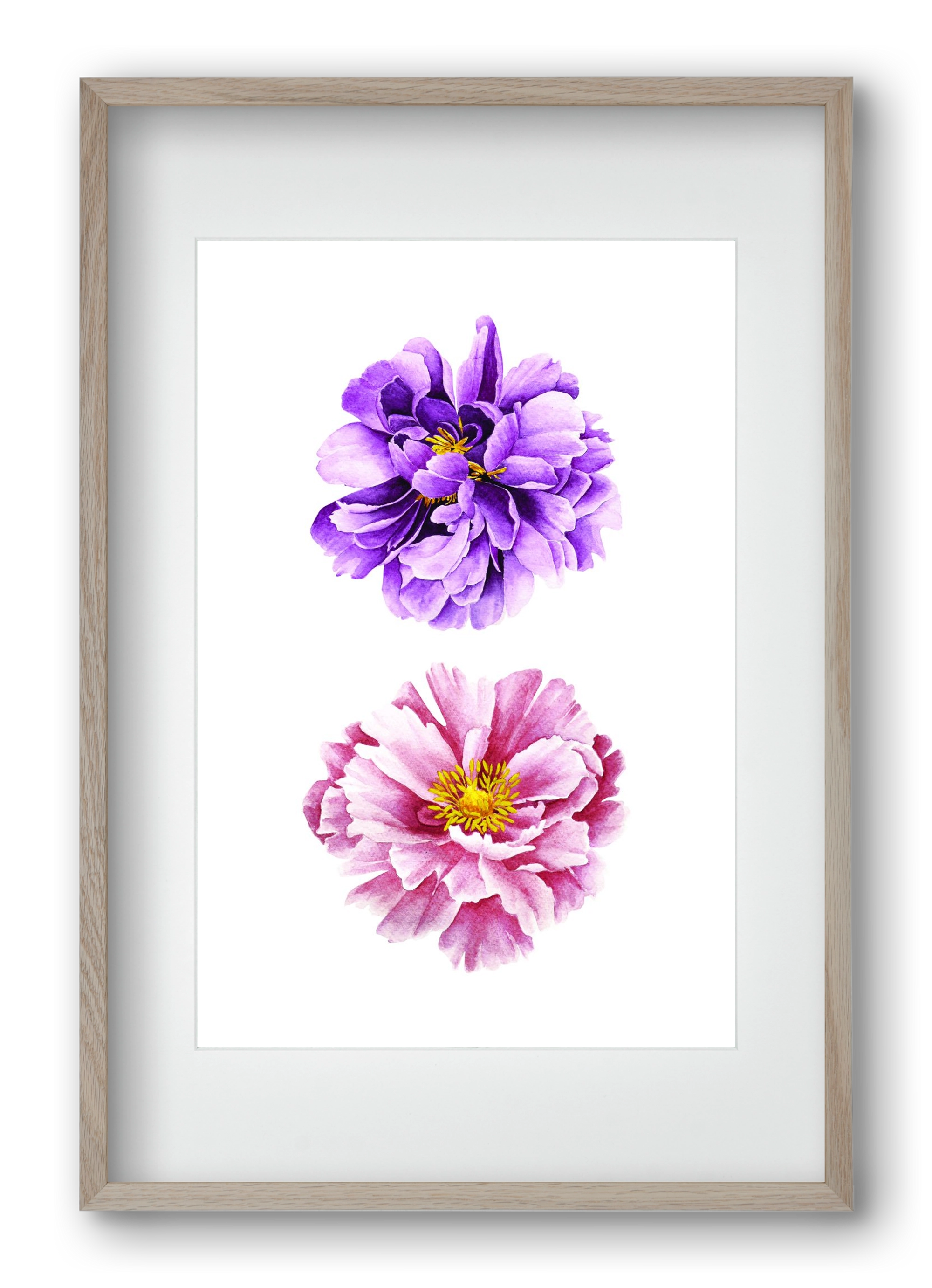 peonies, 40x60 cm (30x45 cm), Tölgy keret, paszpartuval